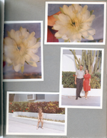 Hollywood Beach - Neptune - flowers. Surf Road - John, Rosemary, Alan.