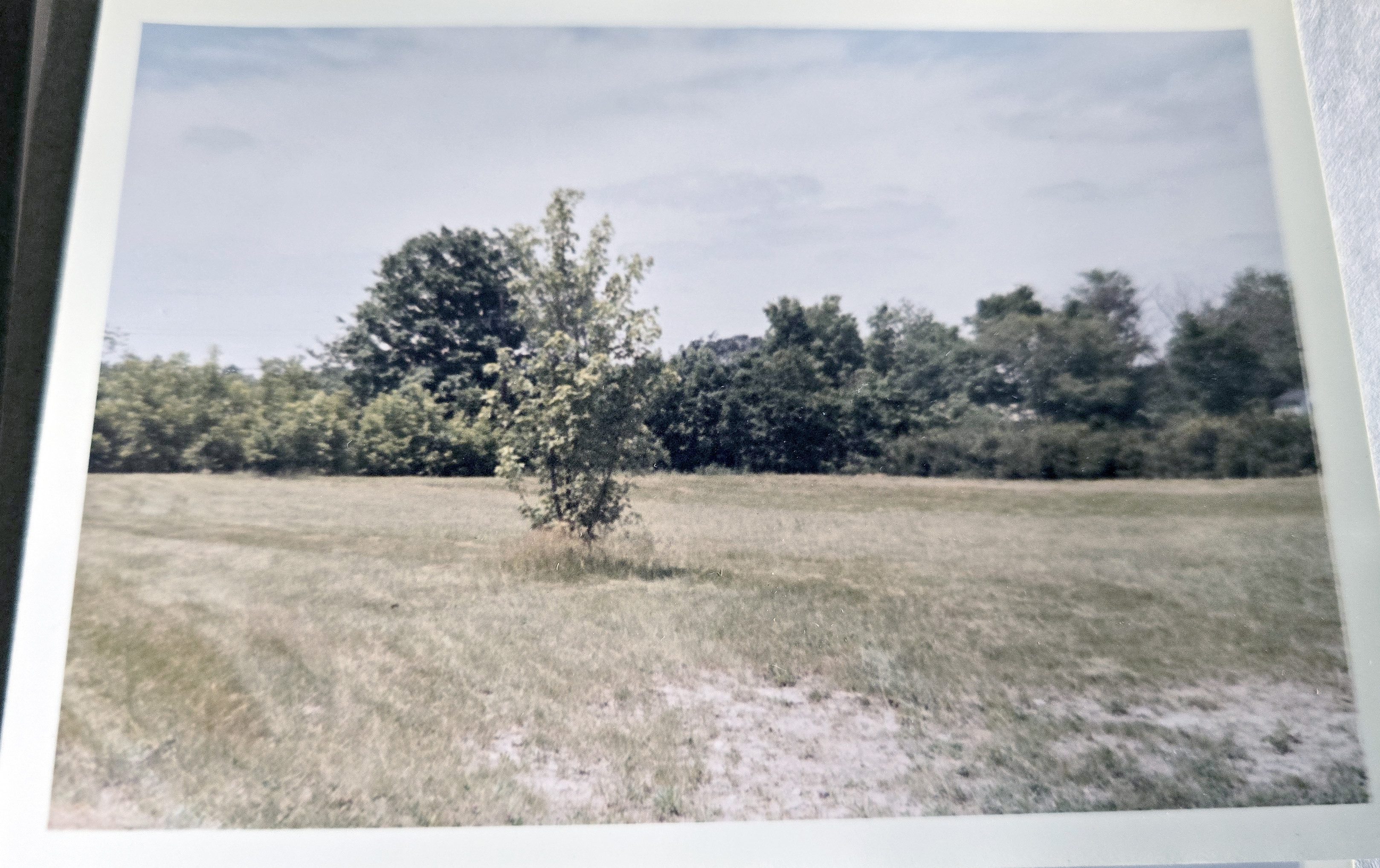 houses (maybe Driftwood Hills?)