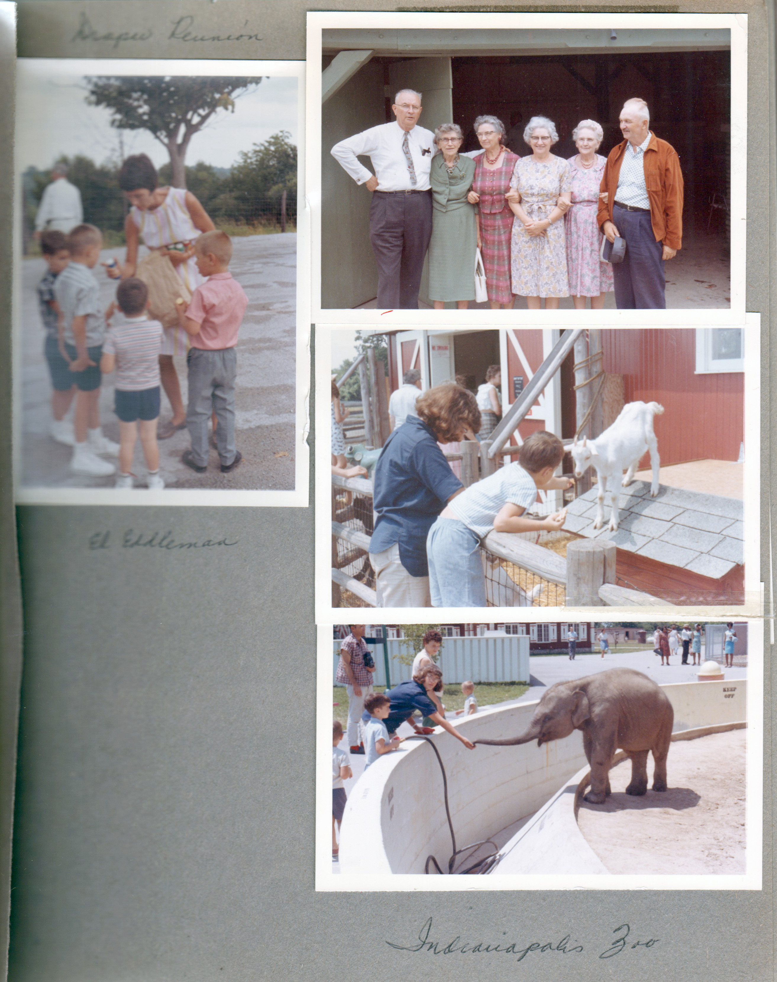 Draper Reunion - Eleanor Edelman, Alan. Smith siblings - Joe Smith, Louis Cole, Florence Harrell, Lida May Lehman, Vonnie Letsinger, Arthur Smith. Indpls Zoo Susan and Alan feed goat. Alan and Susan feed baby elephant.