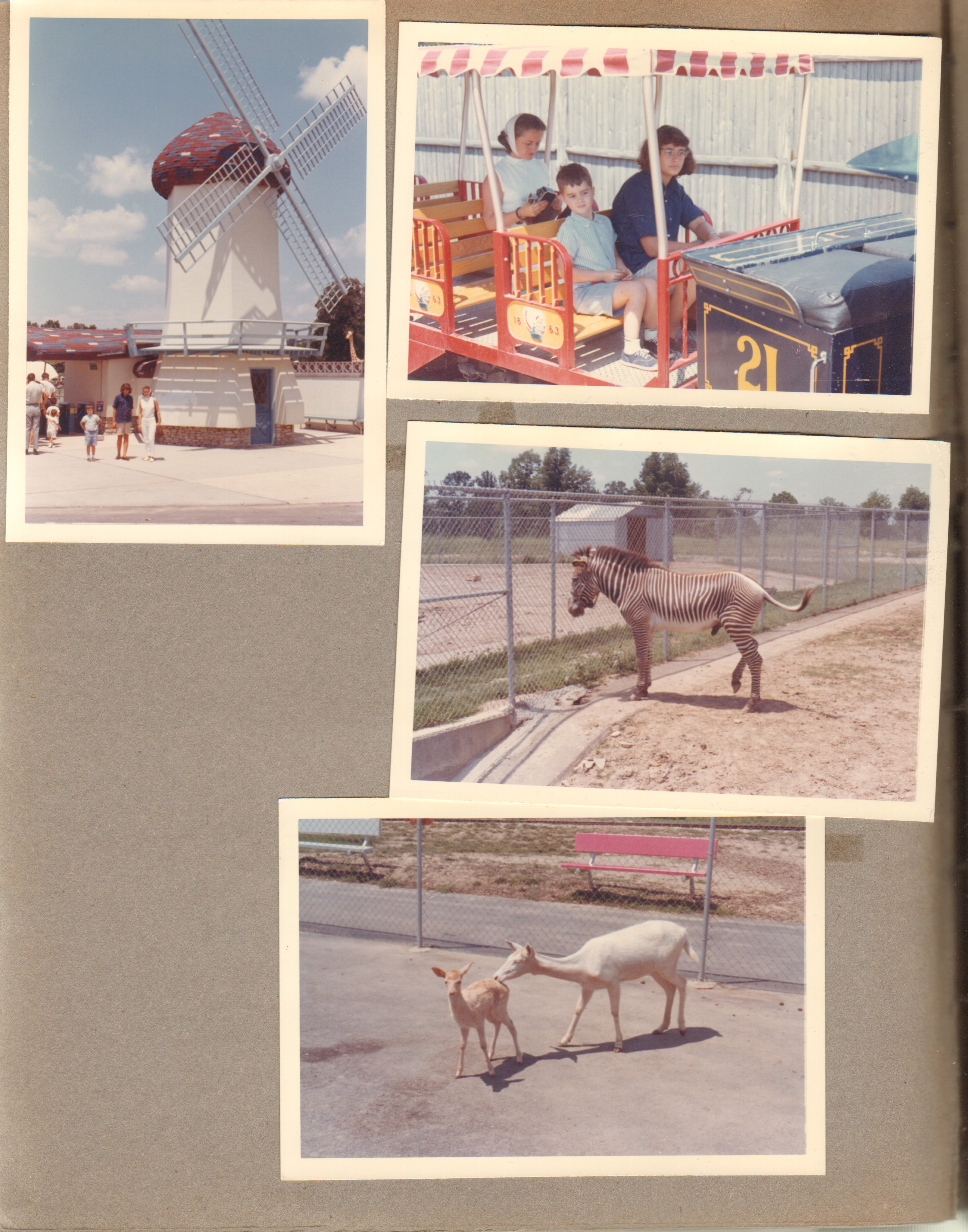 Indpls Zoo Alan, Susan and Rosemary at windmill entrance. On train. Zebra. Deer.