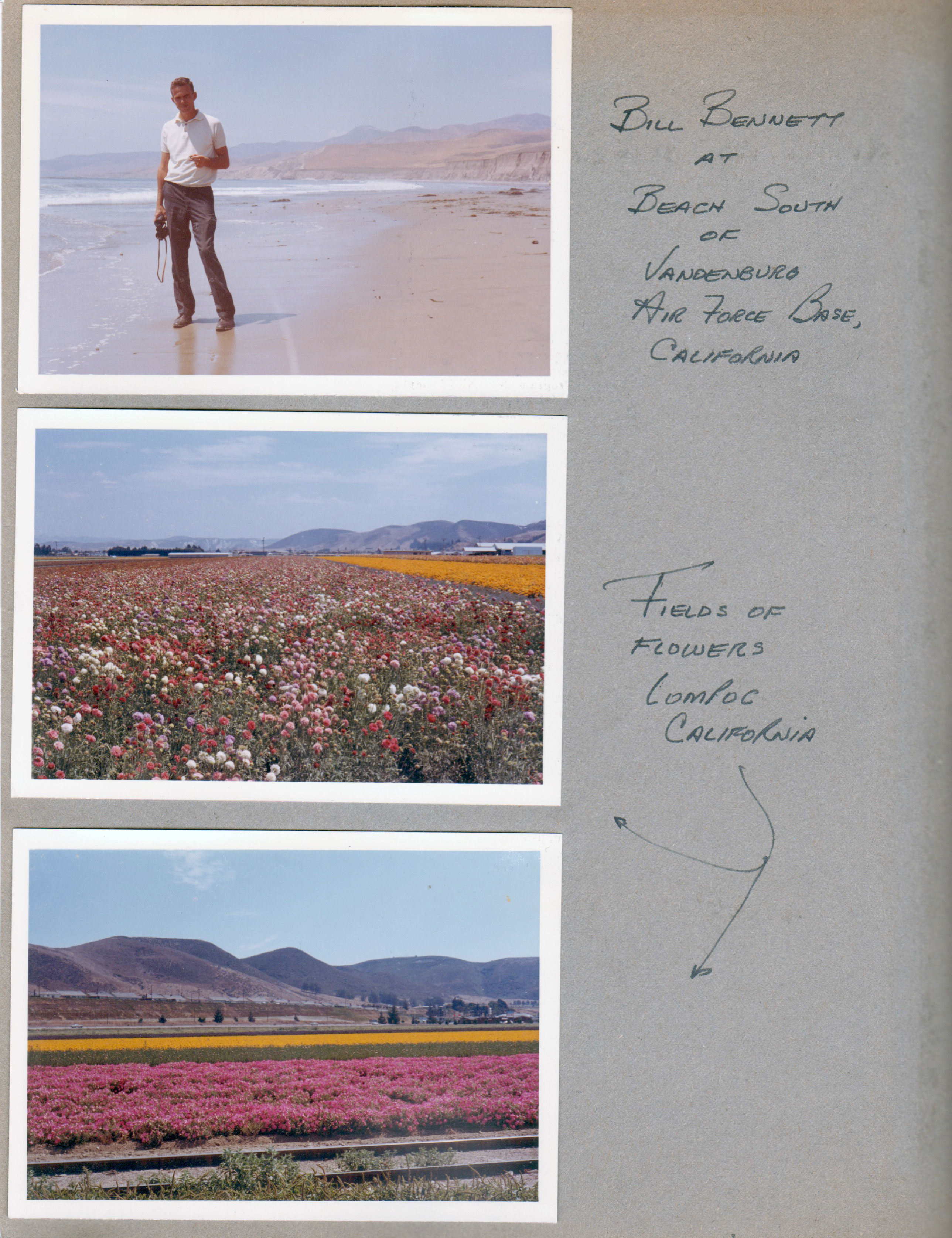 August 1965 - California - Bill Bennett. Fields of flowers - Lompoc, CA