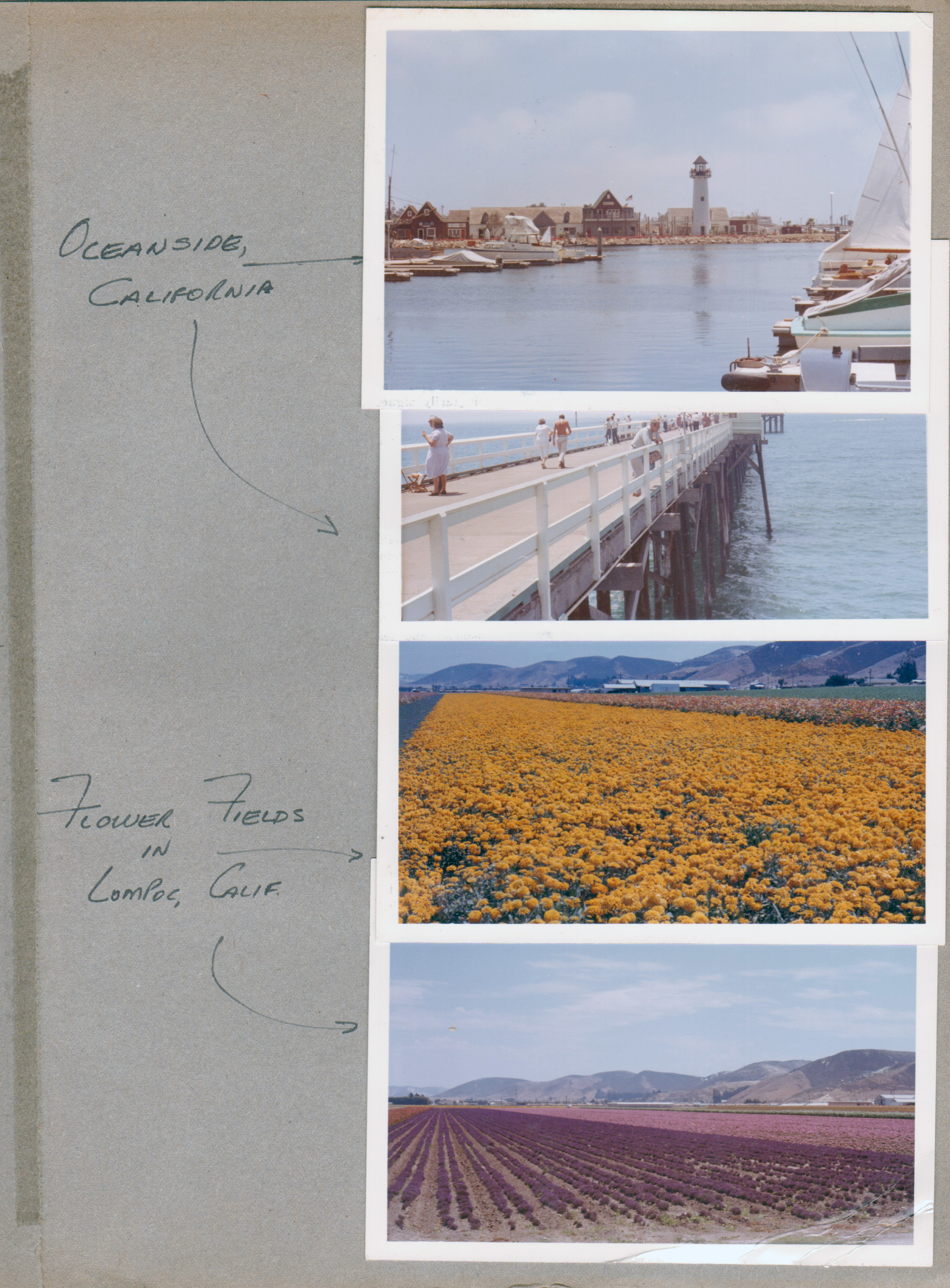 Lighthouse - Oceanside, CA. Fields of flowers - Lompoc, CA