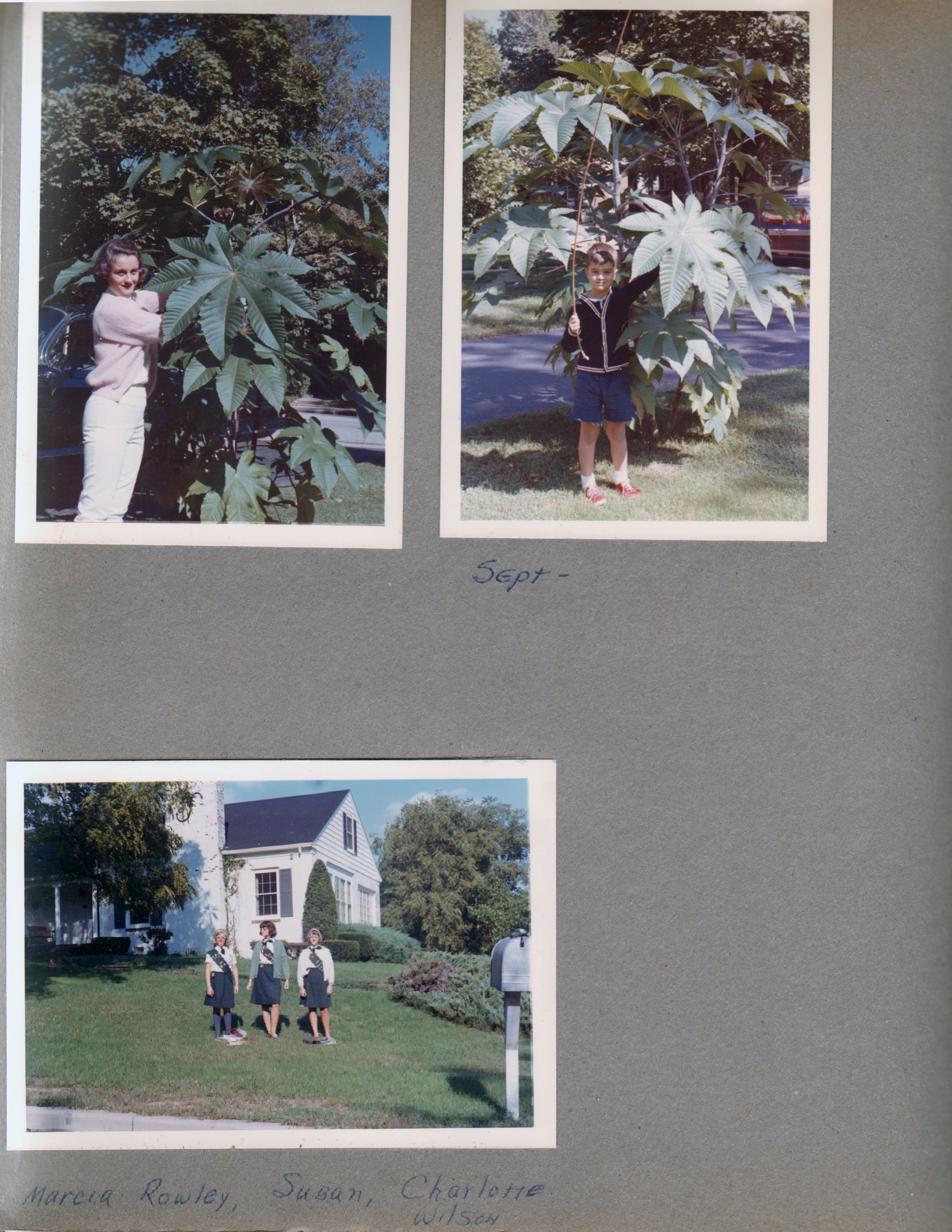 6122 yard - Rosemary with castor beans, Alan. Marcia Rowley, Susan and Charlotte Wilson in front of a house in Girls Scout uniforms - Mrs McKee's scout meeting.