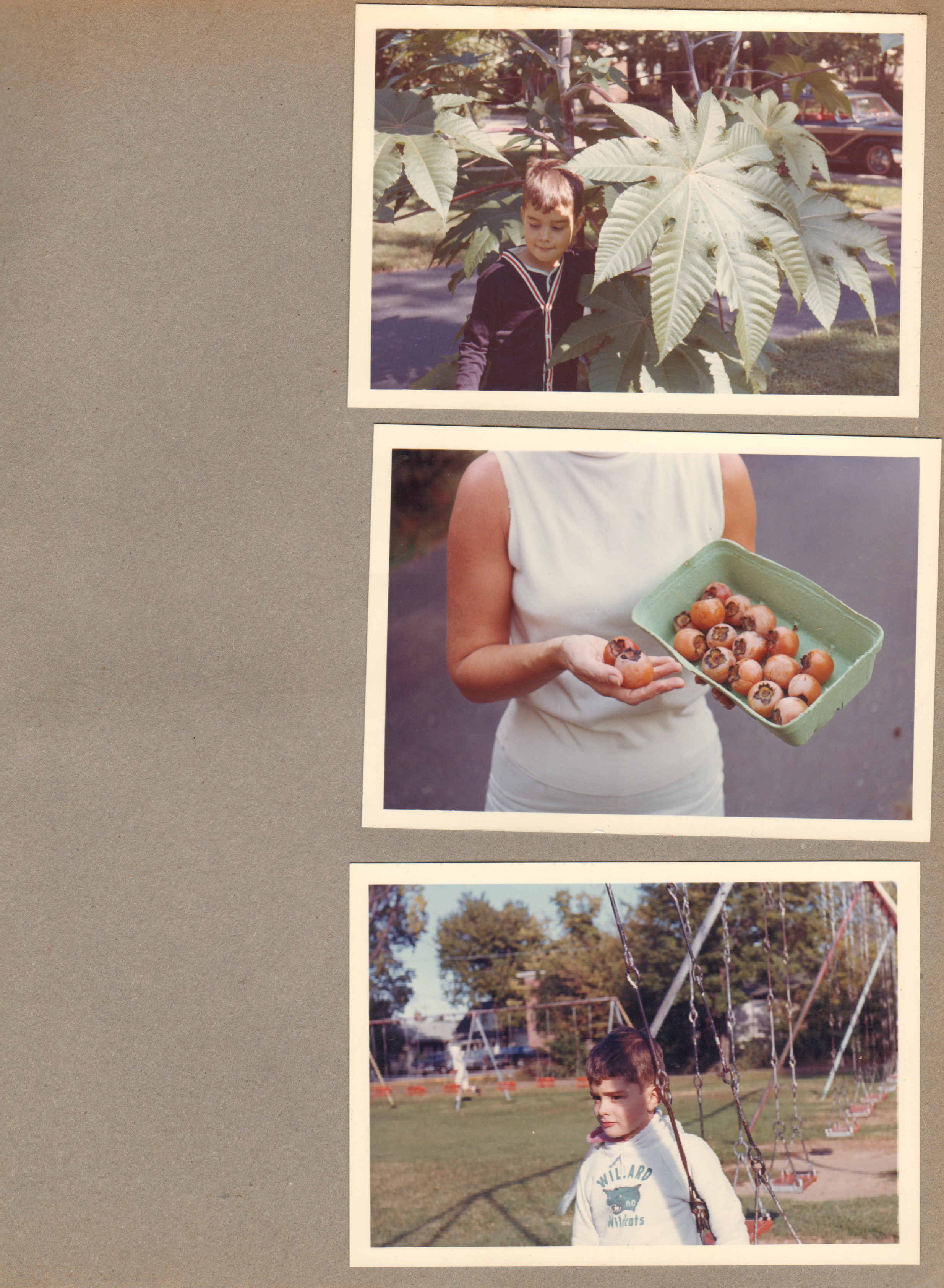 6122 yard -  Alan with castor beans. Rosemary holding persimmons (from Ann Brays). Alan and Broadway Park.