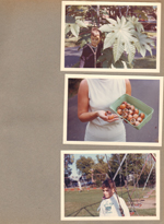 6122 yard -  Alan with castor beans. Rosemary holding persimmons (from Ann Brays). Alan and Broadway Park.