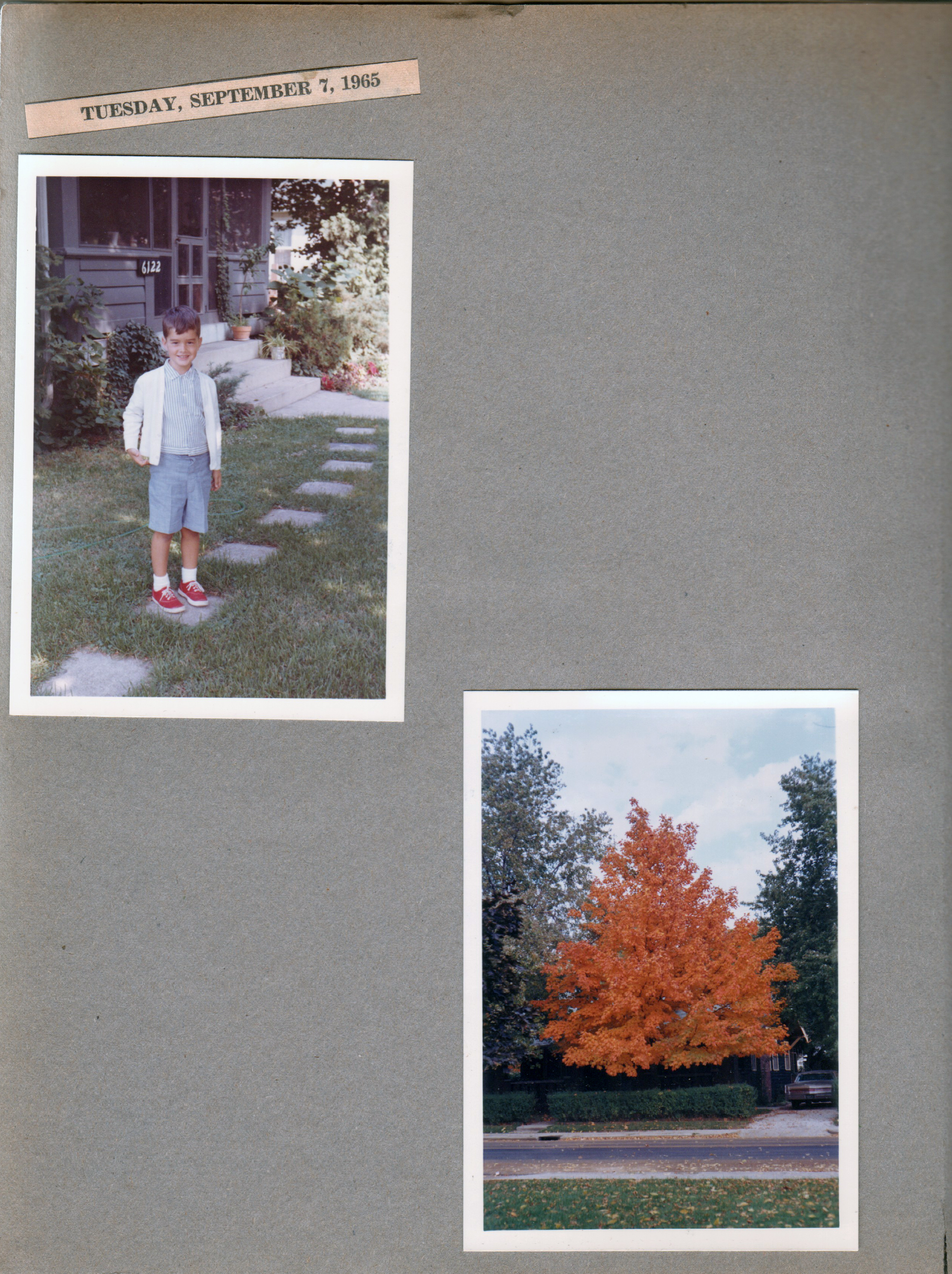 Alan walkway at 6122 in front of porch. Orange leaves on tree at 6123.