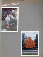 Alan walkway at 6122 in front of porch. Orange leaves on tree at 6123.