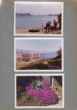 People fishing. Building on cliff. Purple flowers.