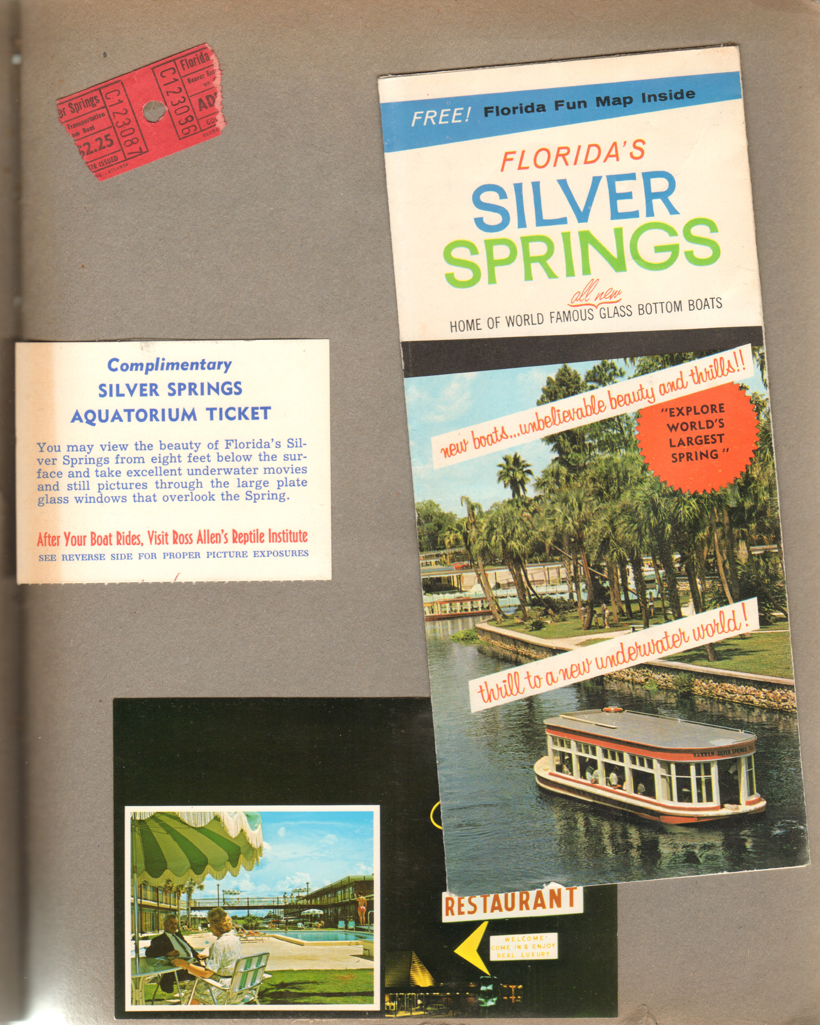 Silver Springs - Ocala, FL - brochure, ticket stub. Aquatorium ticket. Postcard 84835 - Horne's Motor Lodge - Gainesville, FL