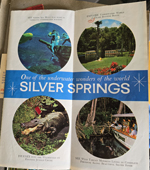 Silver Springs - Ocala, FL - brochure