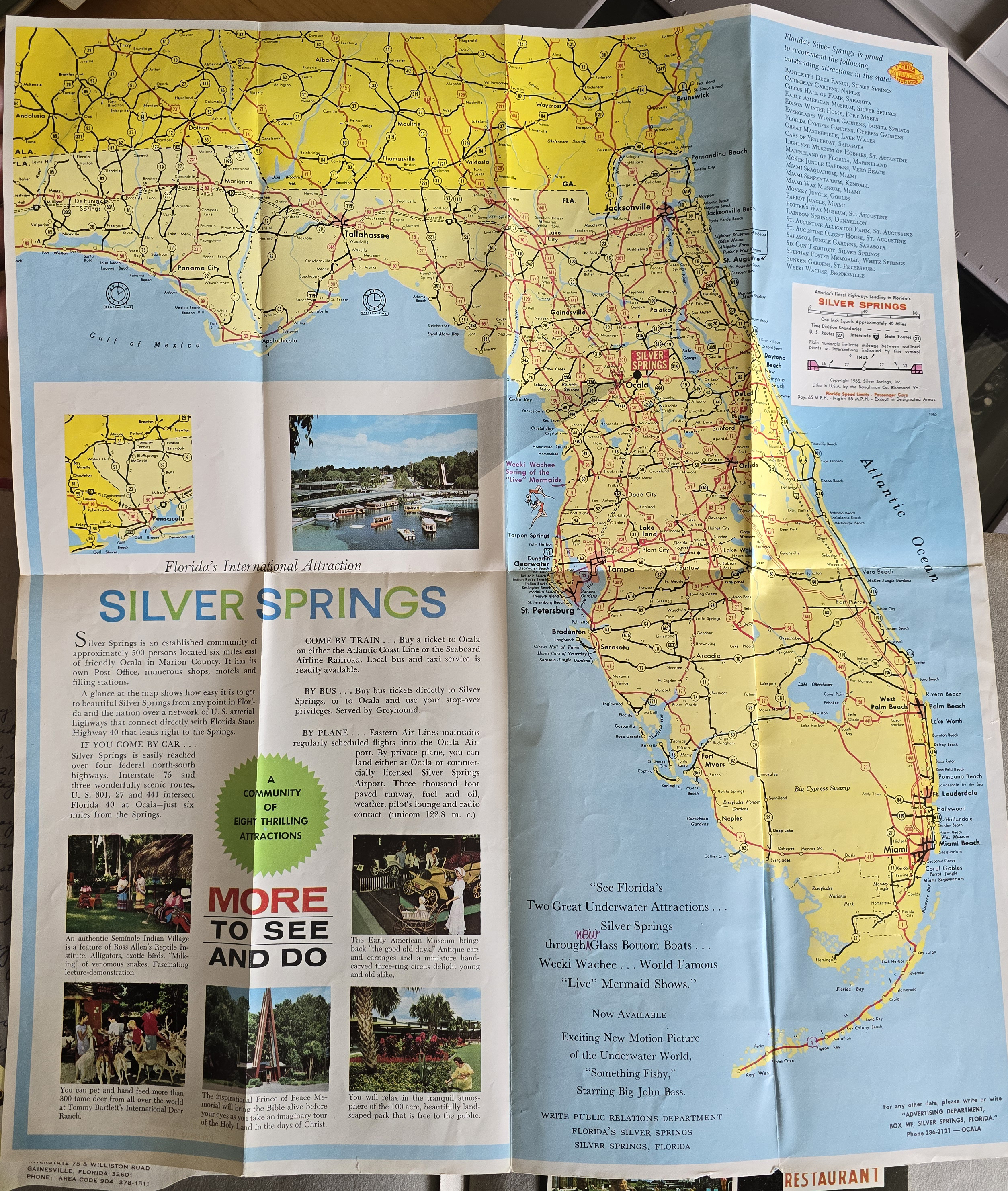 Silver Springs - Ocala, FL - brochure