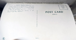 Postcard back 84835 - Horne's Motor Lodge - Gainesville, FL
