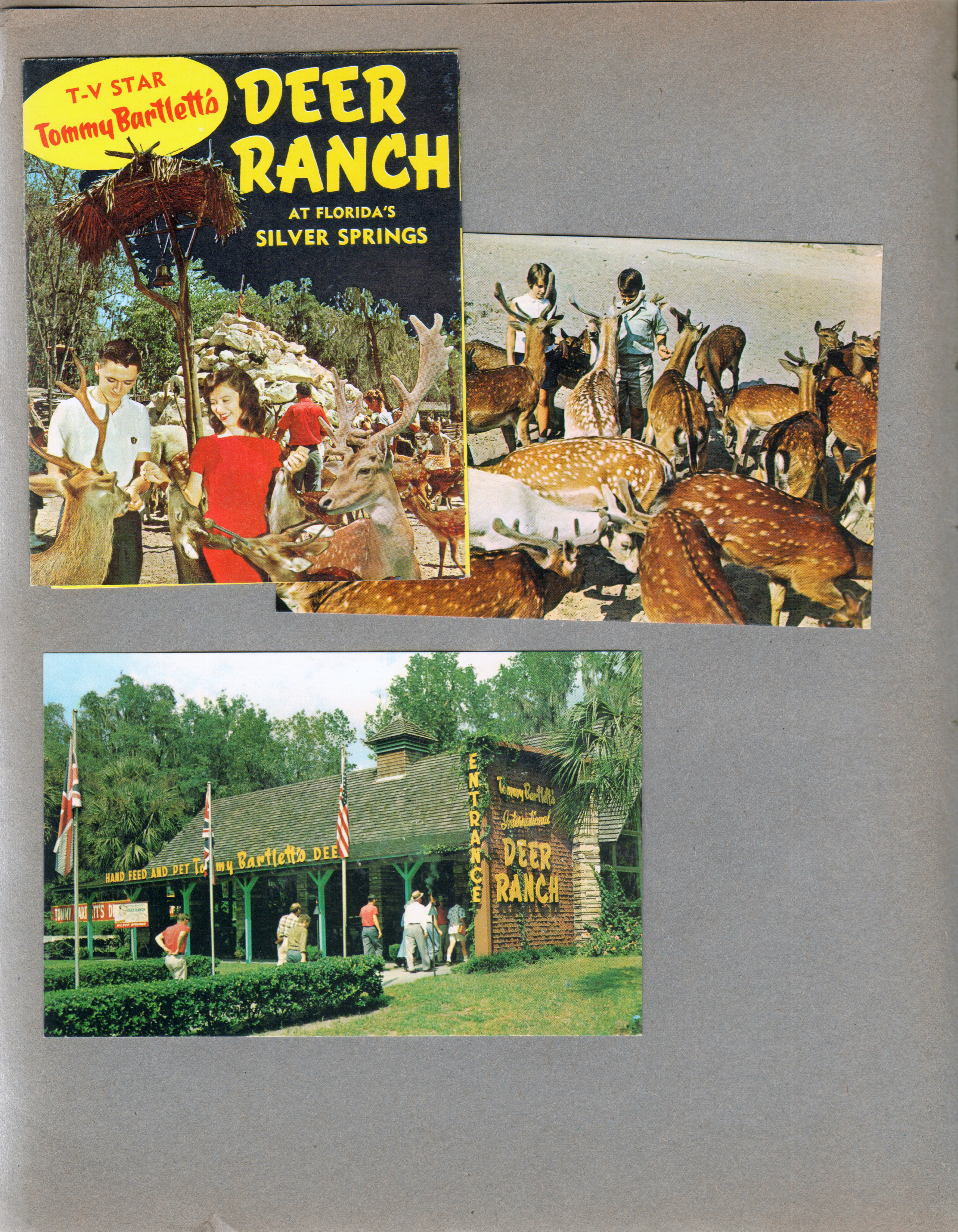Silver Springs - Ocala, FL - Deer Ranch brochure. Postcard P65820- Children at Deer Ranch. Postcard 41 K-8628 - Colorful entrance to Tommy Bartlett's Deer Ranch