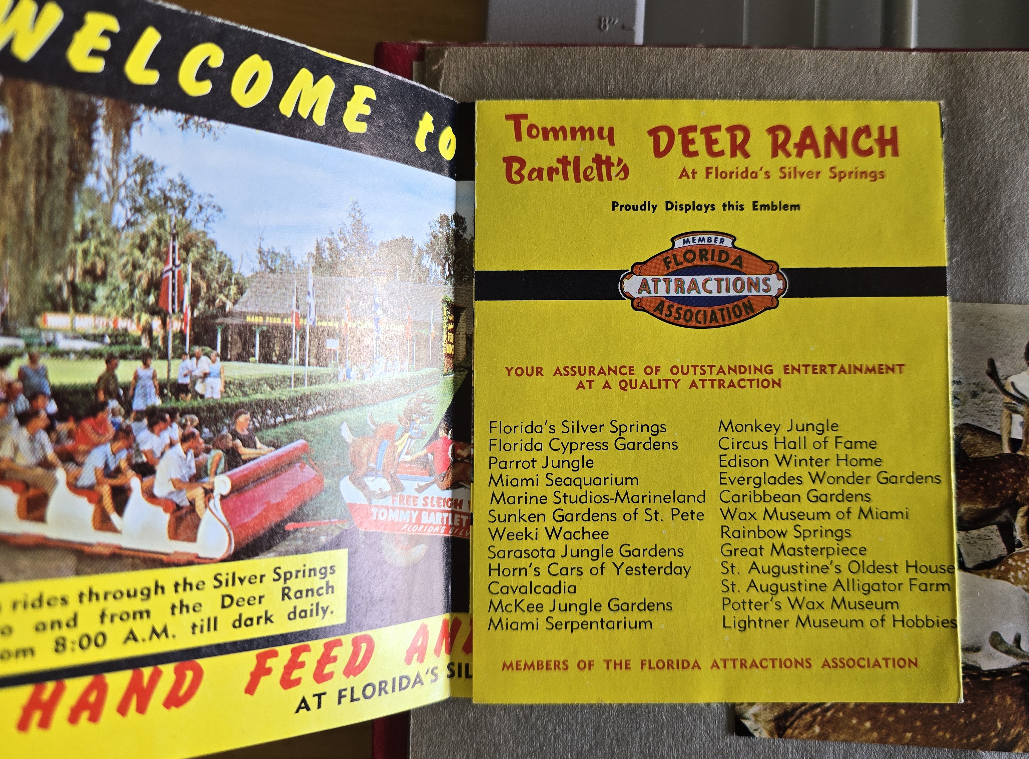 Silver Springs - Ocala, FL - Deer Ranch brochure