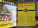 Silver Springs - Ocala, FL - Deer Ranch brochure