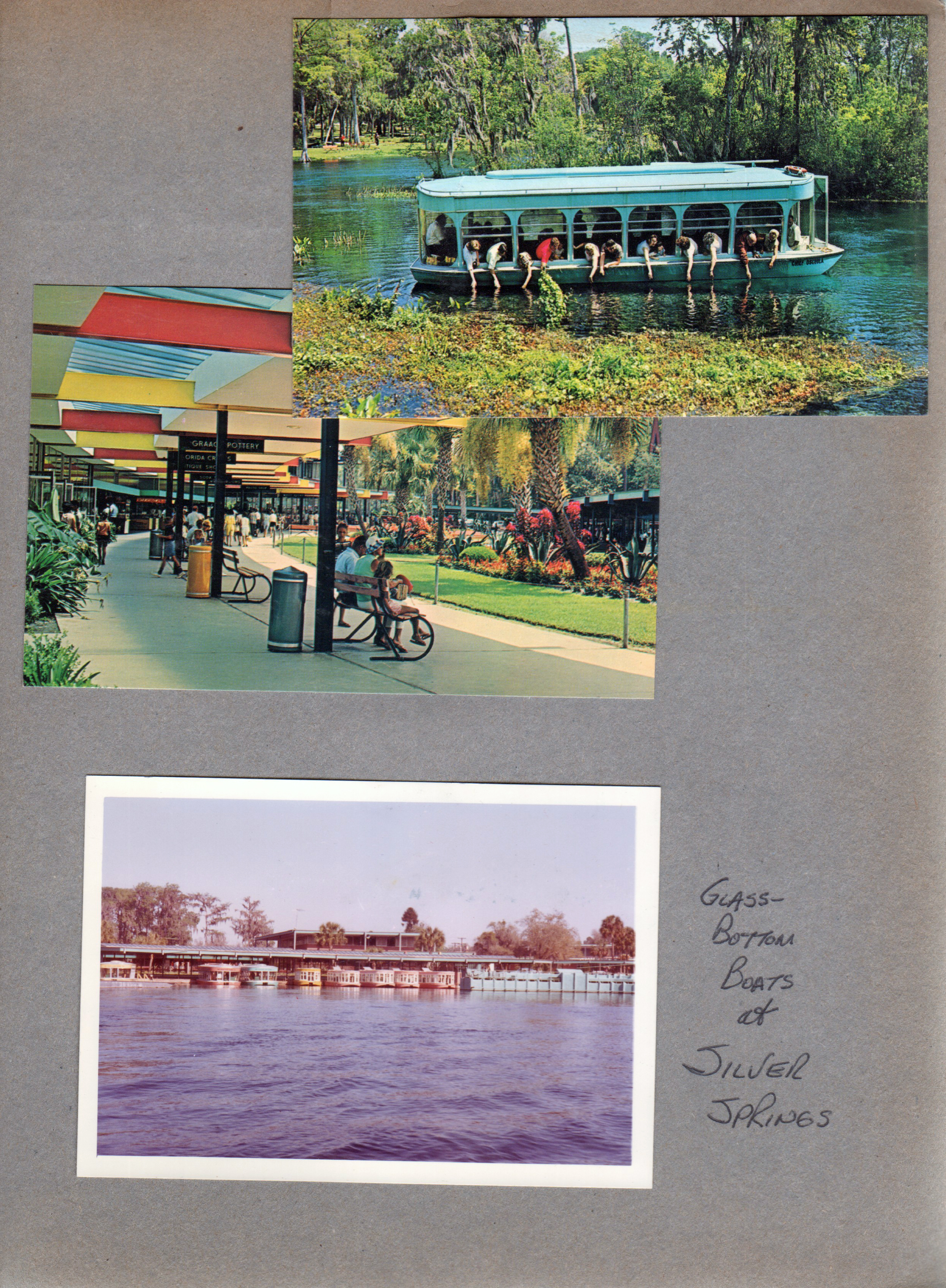 Postcard P65386 - Glass Bottom Boat. Postcard P60732- A covered promenade Silver Springs. Glass Bottom Boats at Silver Springs