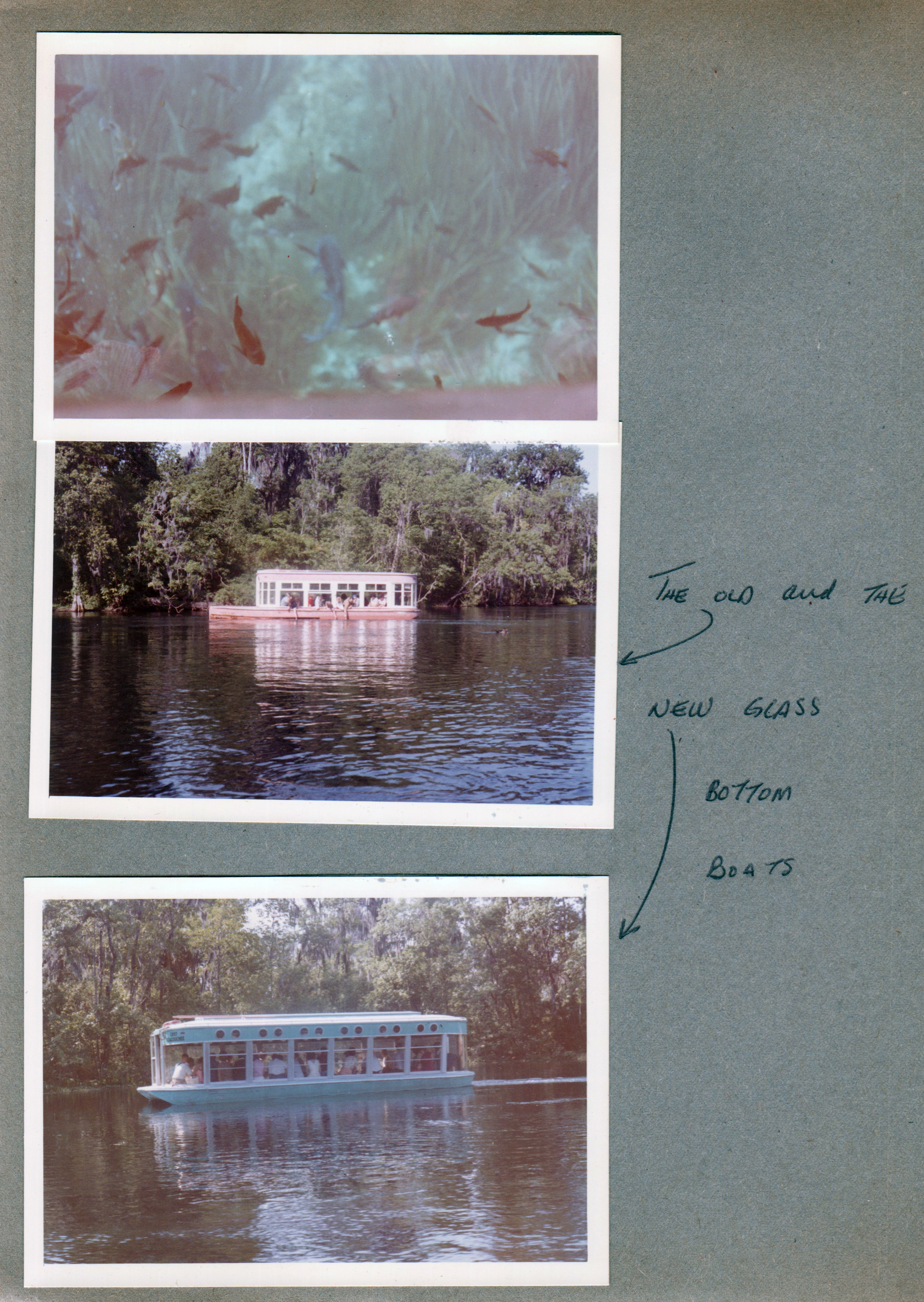 Silver Springs - Ocala, FL - fish under boat. The old and new Glass Bottom boats