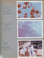 Silver Springs - Ocala, FL - ship wreck from movies and TV. Deer Ranch - Alan feeding deer.
