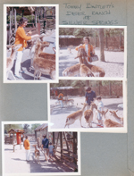 Silver Springs - Ocala, FL - Deer Ranch - Rosemary, Susan and Alan feeding deer.