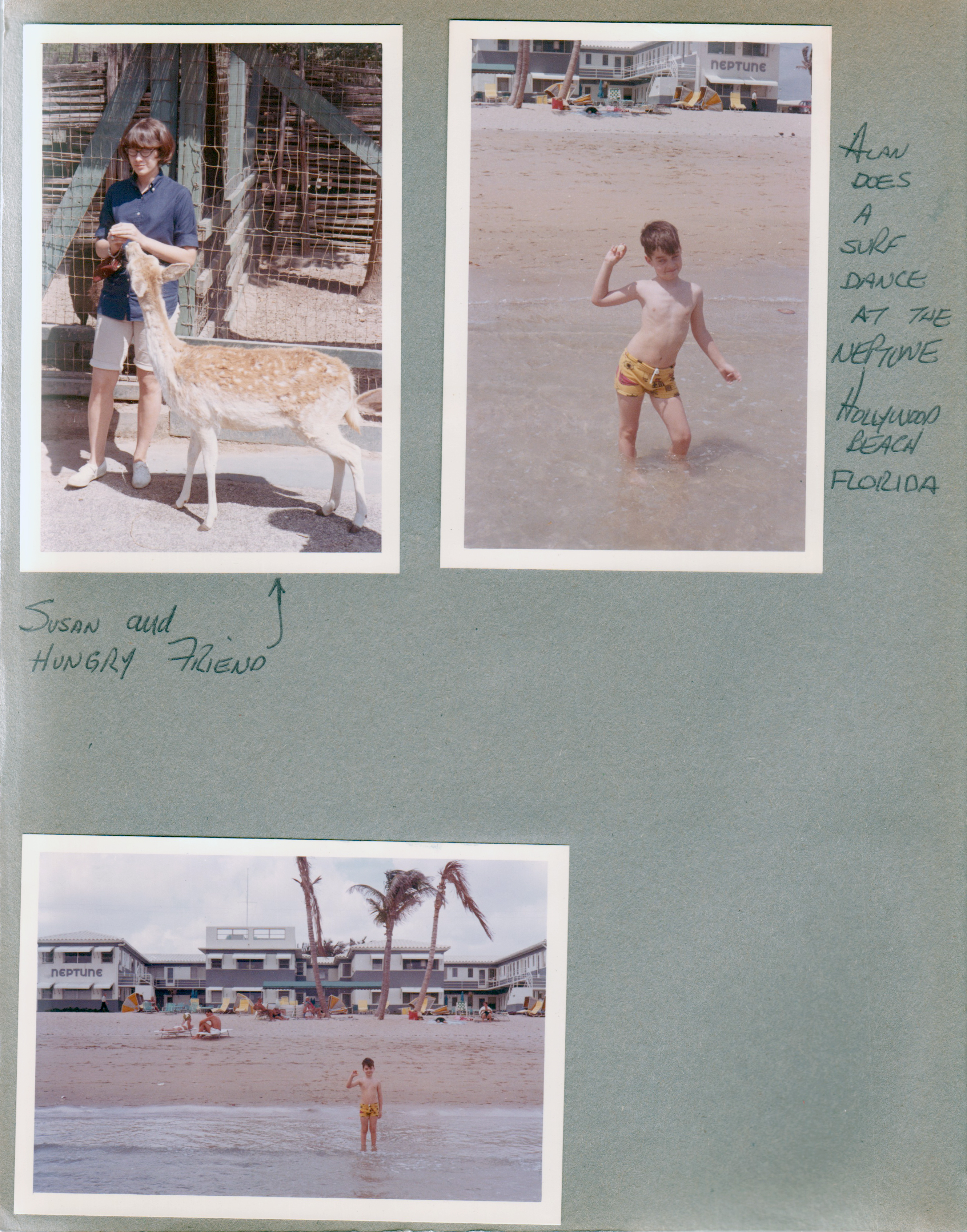 Silver Springs - Ocala, FL - Deer Ranch - Susan feeding deer. Hollywood Beach - Neptune Apartments - Alan surf dance in ocean, Neptune behind