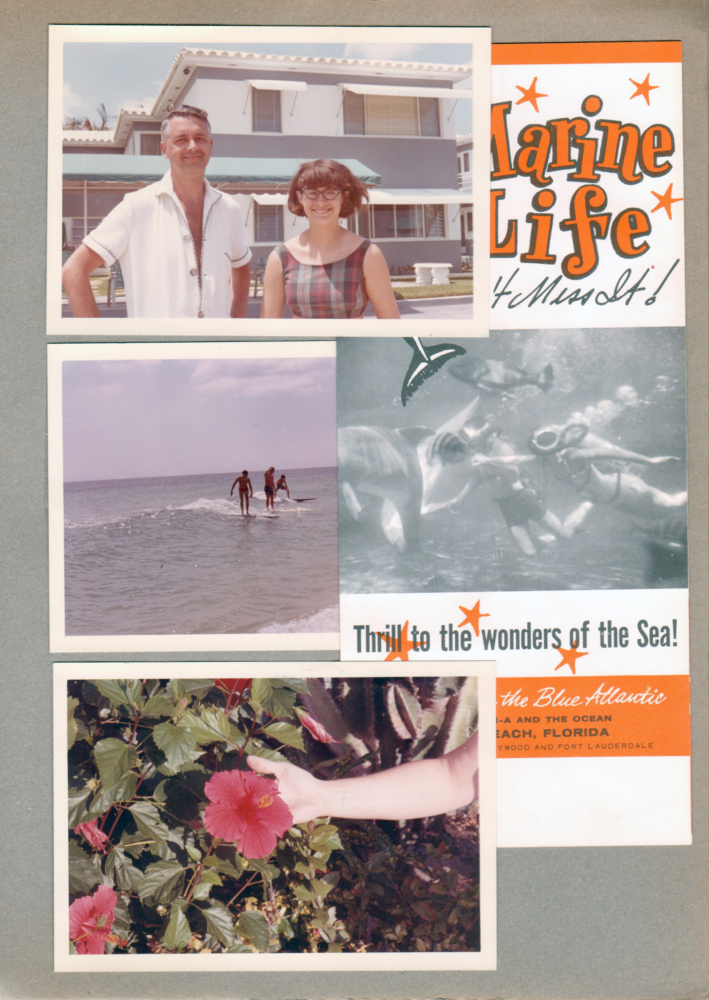 Hollywood Beach - Neptune Apartments - John and Susan in front. Surfers. Flower. Marine Life brochure.