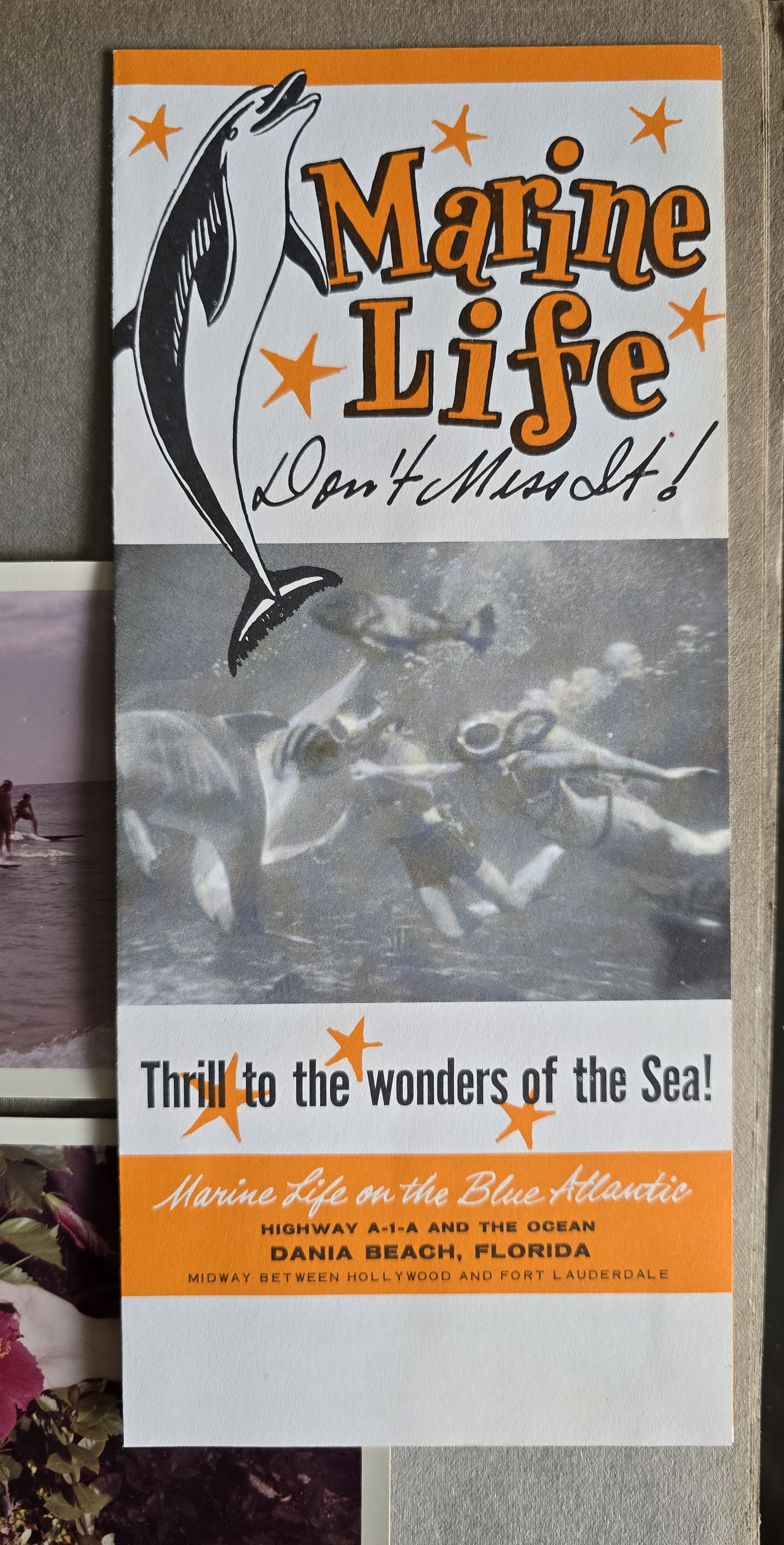 Marine Life brochure - Dania Beach