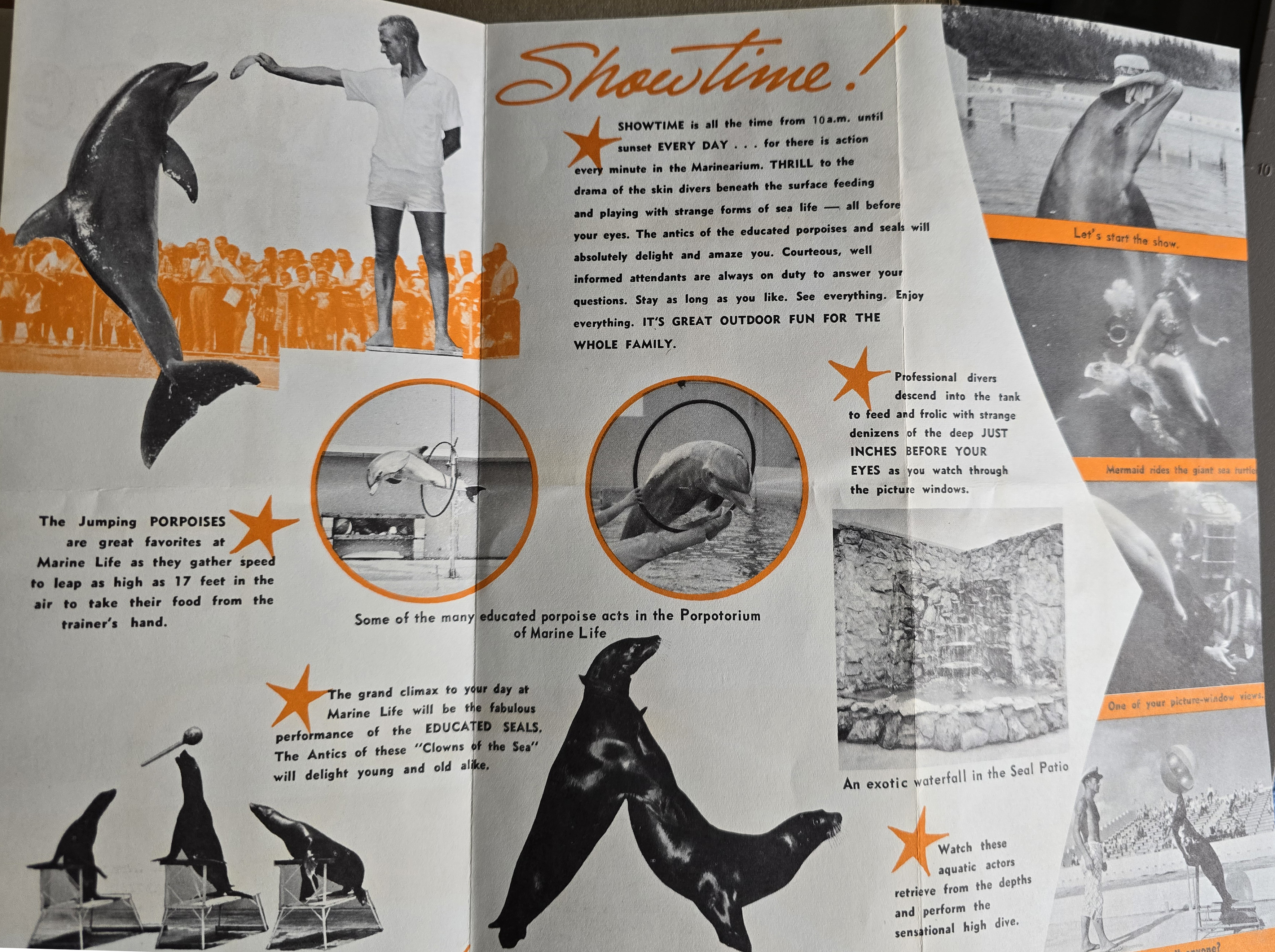 Marine Life brochure - Dania Beach