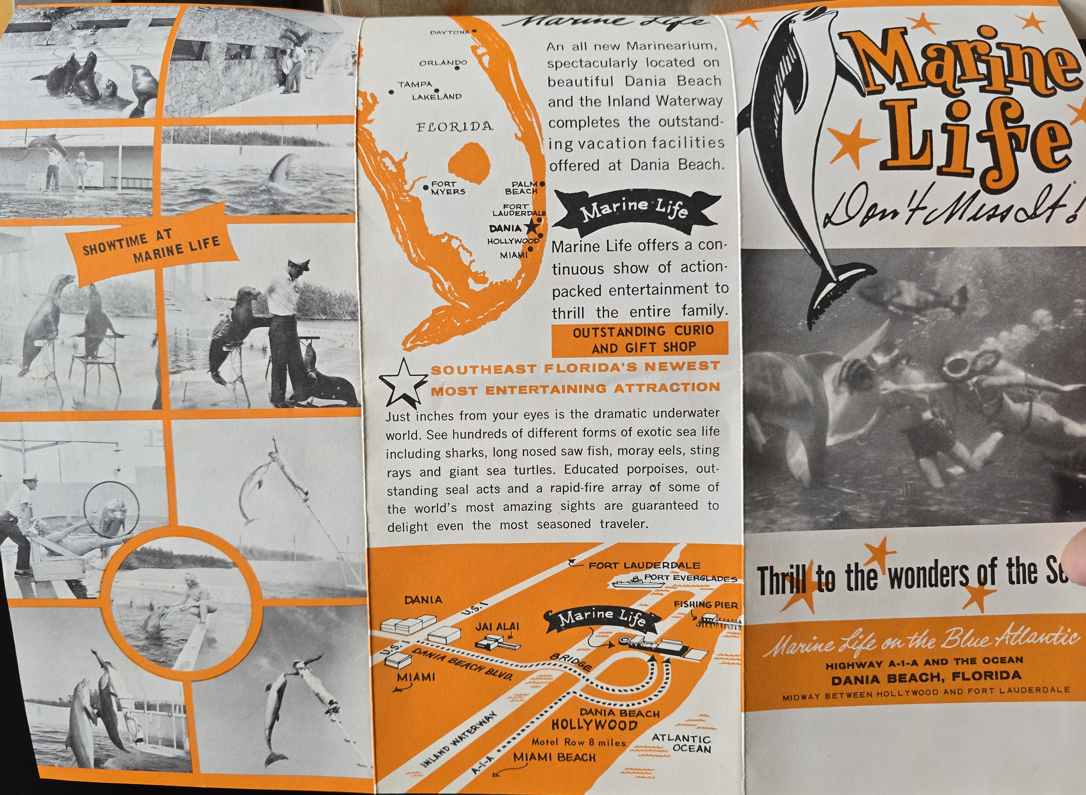 Marine Life brochure - Dania Beach