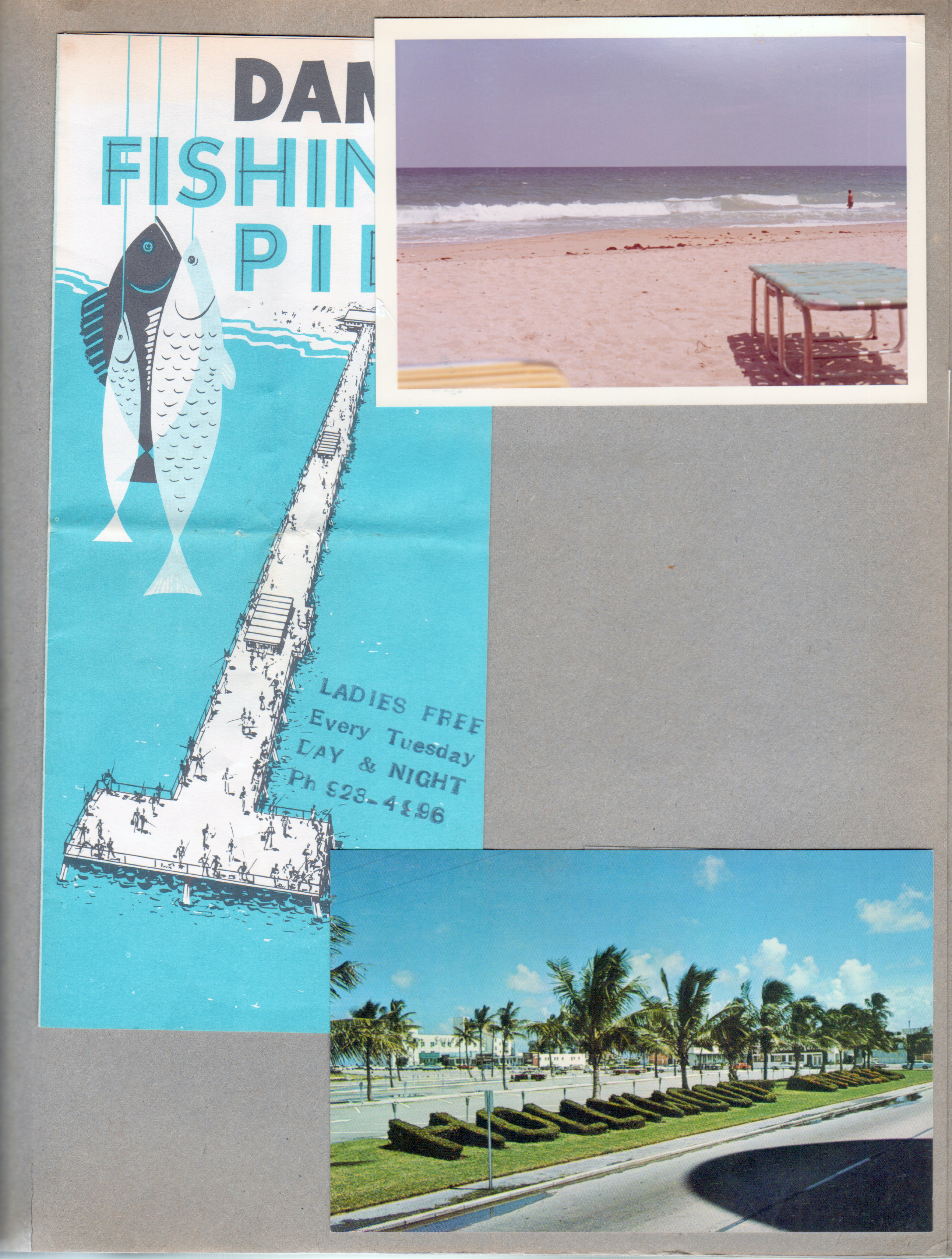 Dania Fishing Pier brochure. Beach. Postcard 905 - Hollywood by the Sea sign in bushes.