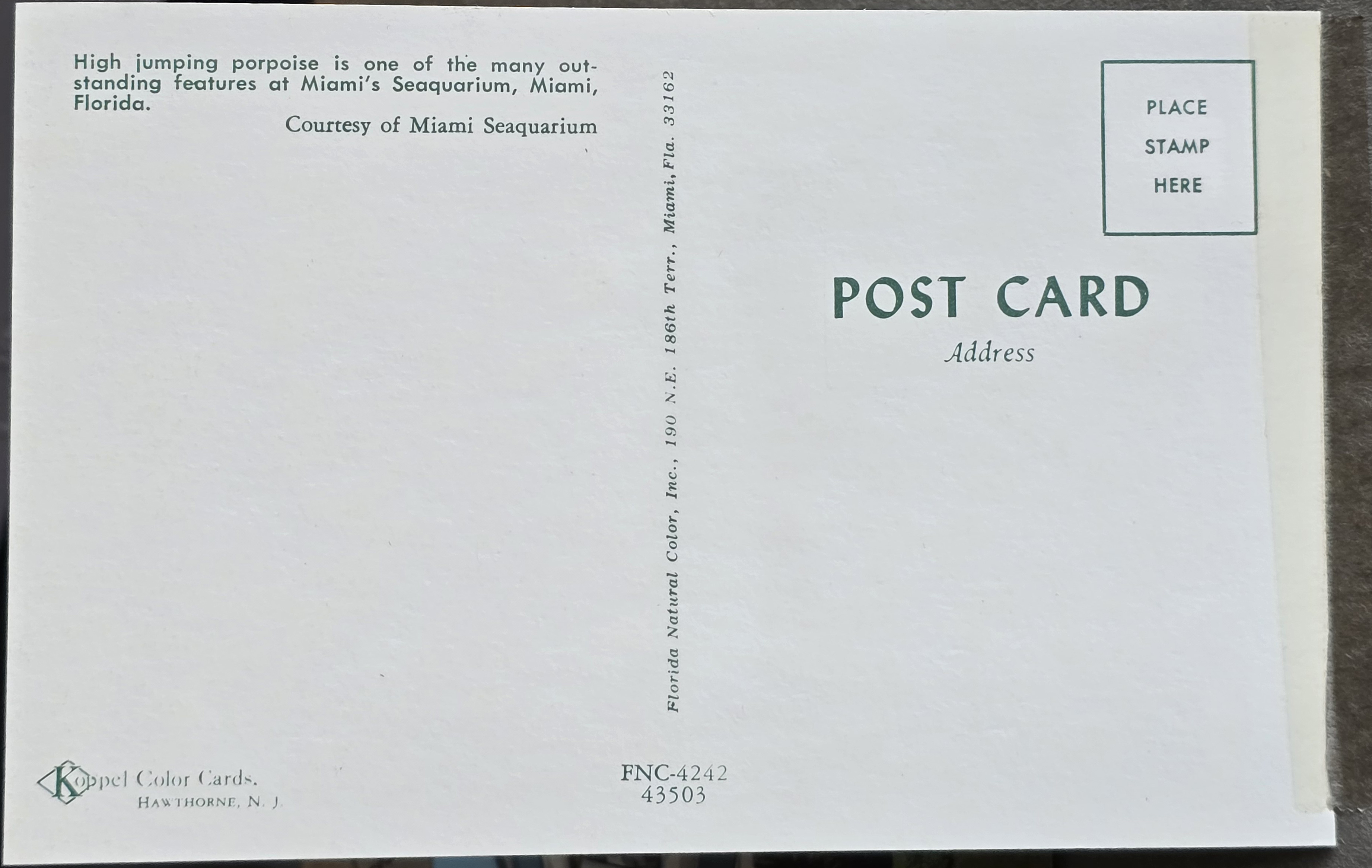 Postcard back FNC-4242 43503 - Greetings from Miami's Fabulous Seaquarium high jumping porpoise