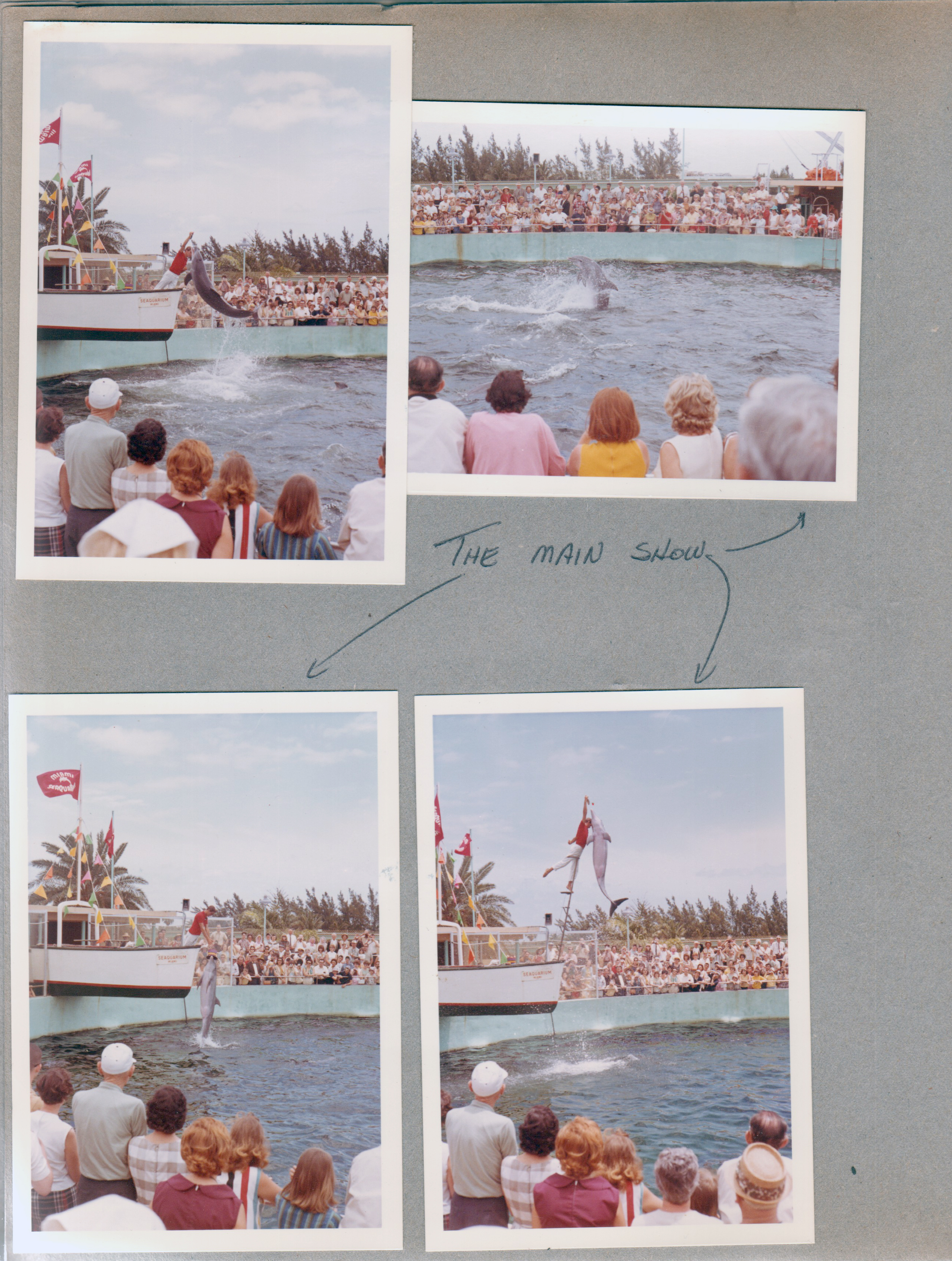 Miami Seaquarium - porpoise show
