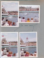 Miami Seaquarium - porpoise show
