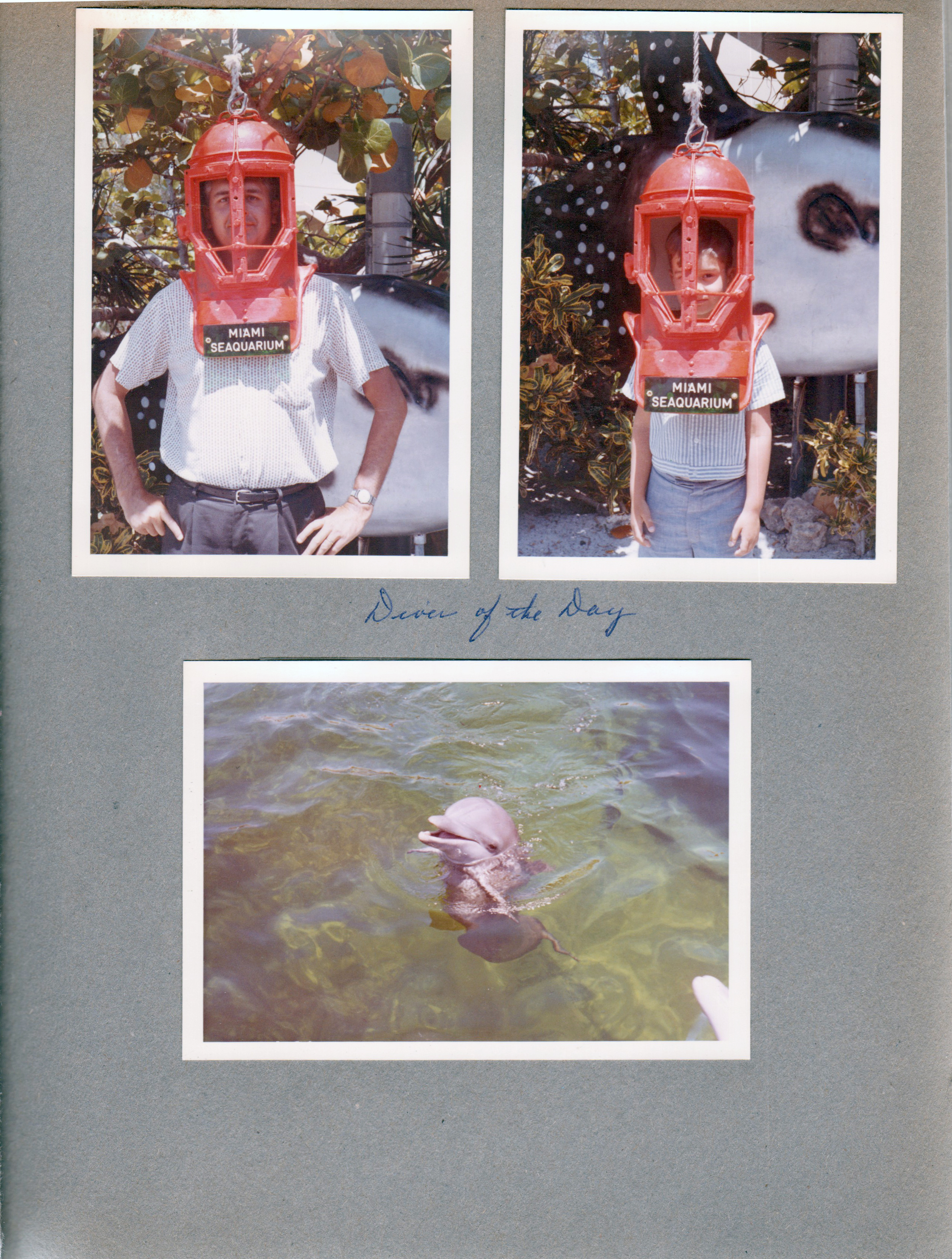 Miami Seaquarium - John and Alan in diver's helmet. porpoise 