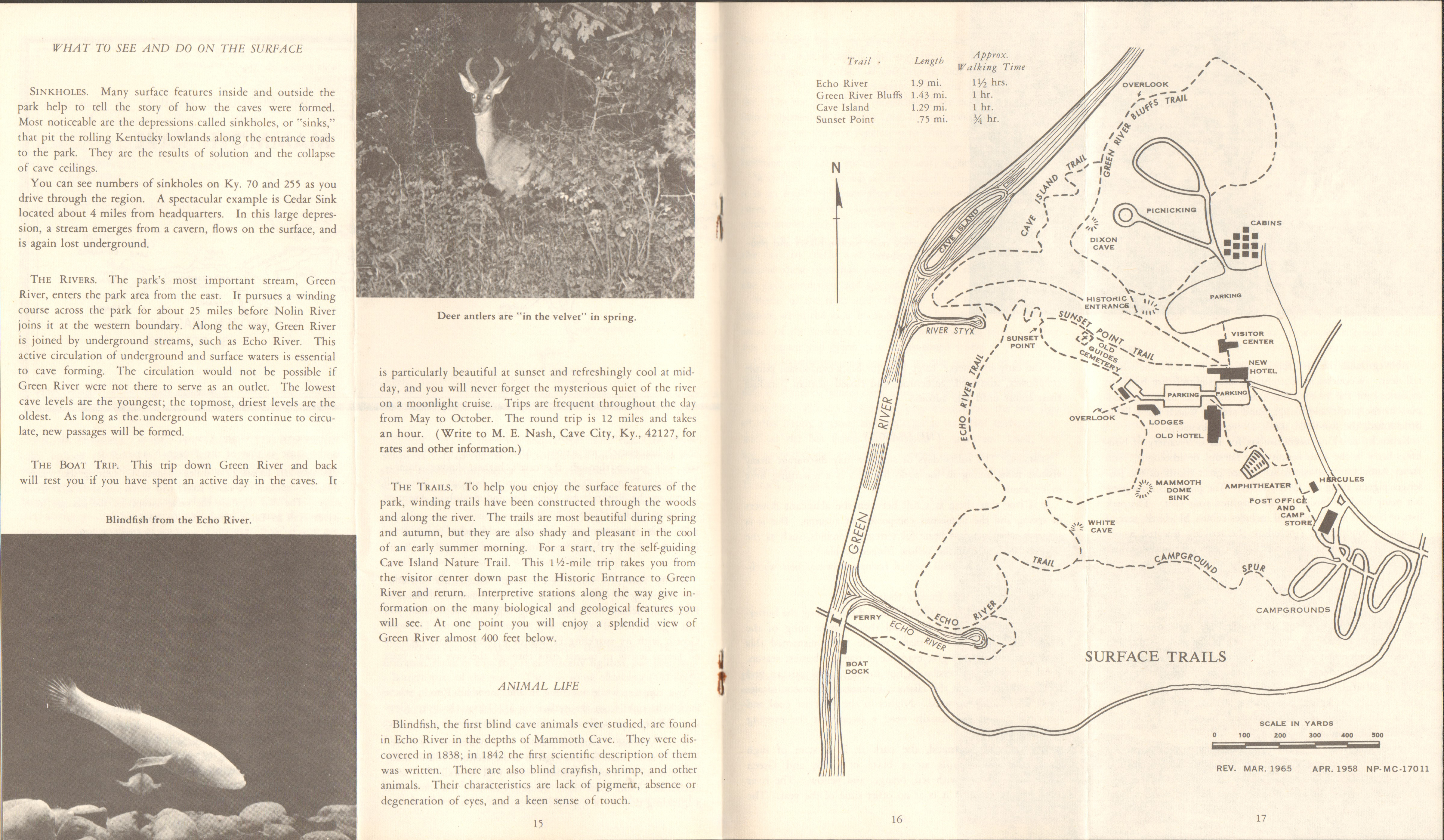 Mammoth Cave, KY pamphlet