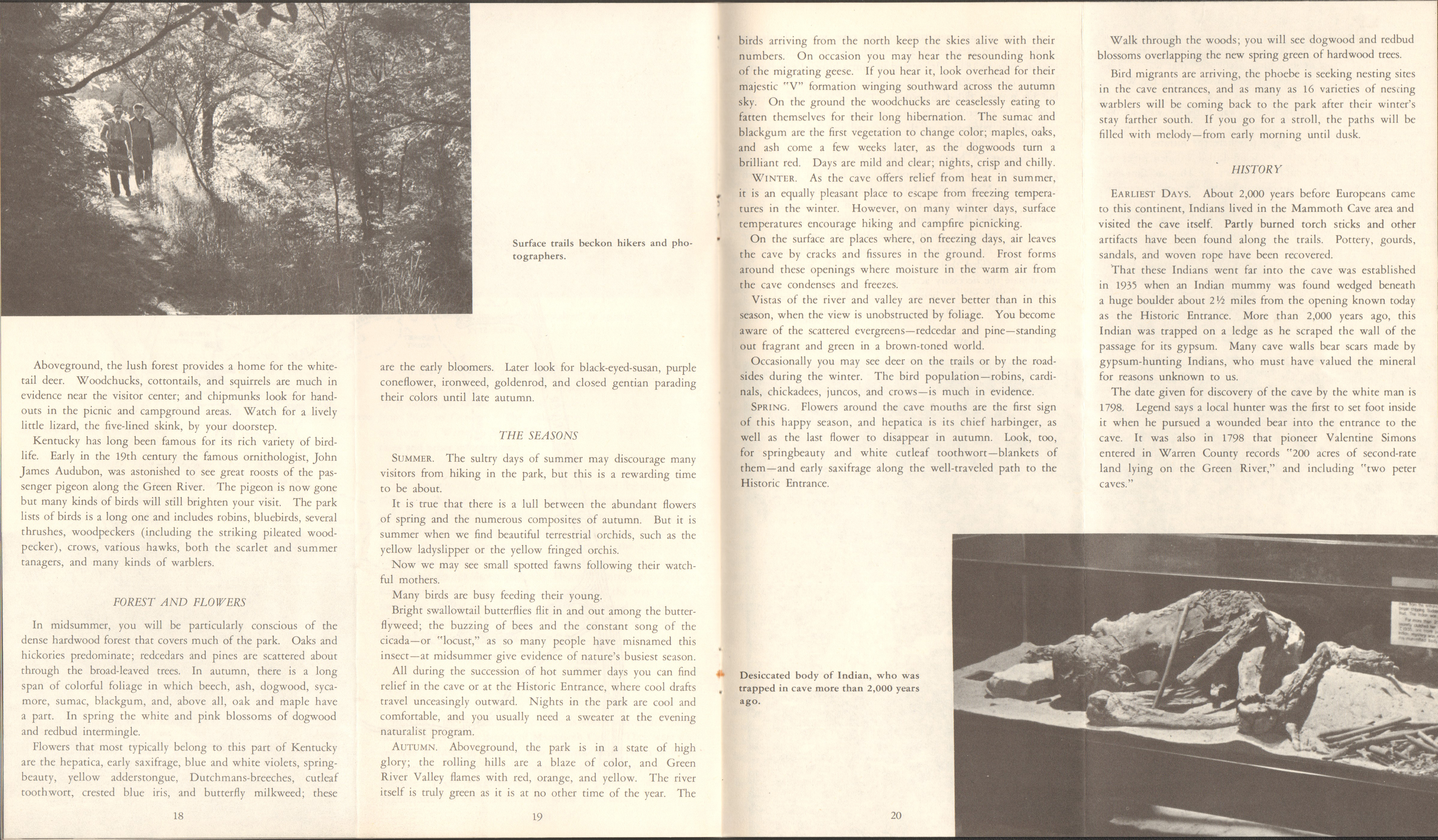 Mammoth Cave, KY pamphlet