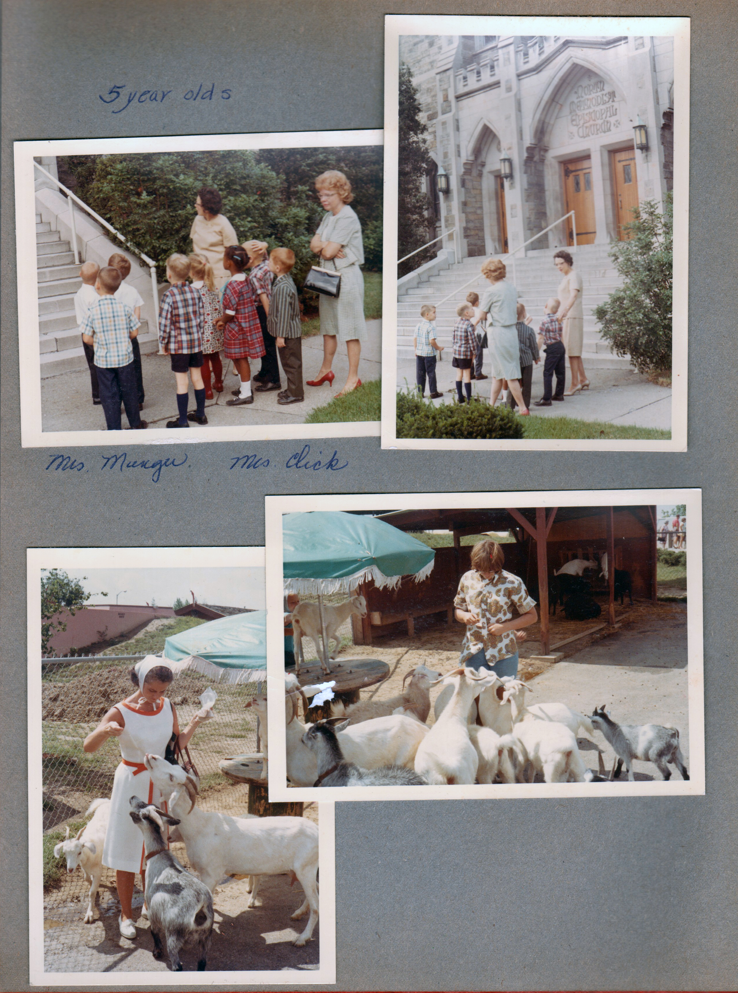 North Methodist Church - 38th and Meridian - 5 year olds. Mrs Munger and Mrs Click. Rosemary and Susan feeding goats at Indianapolis Zoo in Washington Park.