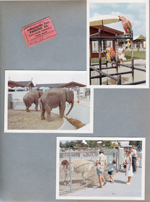 Indianapolis Zoo in Washington Park - parking stub. Parrots. Elephants. Susan, Alan and Rosemary feeding llama.