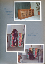 6122 dining room - new television-stereo cabinet (built-in cabinet now has louver doors). 6123 - Jo Jo on chair.