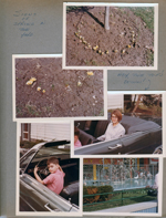 6122 crocus sprouting. Susan and Alan in Ford Galaxie 500 convertible. Glendale Mall garden and water with ducks - GC Murphy Co