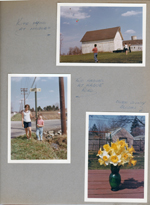 Alan, Susan and John kite flying at 8815 Haverstick farm - barn. Susan and Alan on Hague Road. 6122 back yard - daffodils.