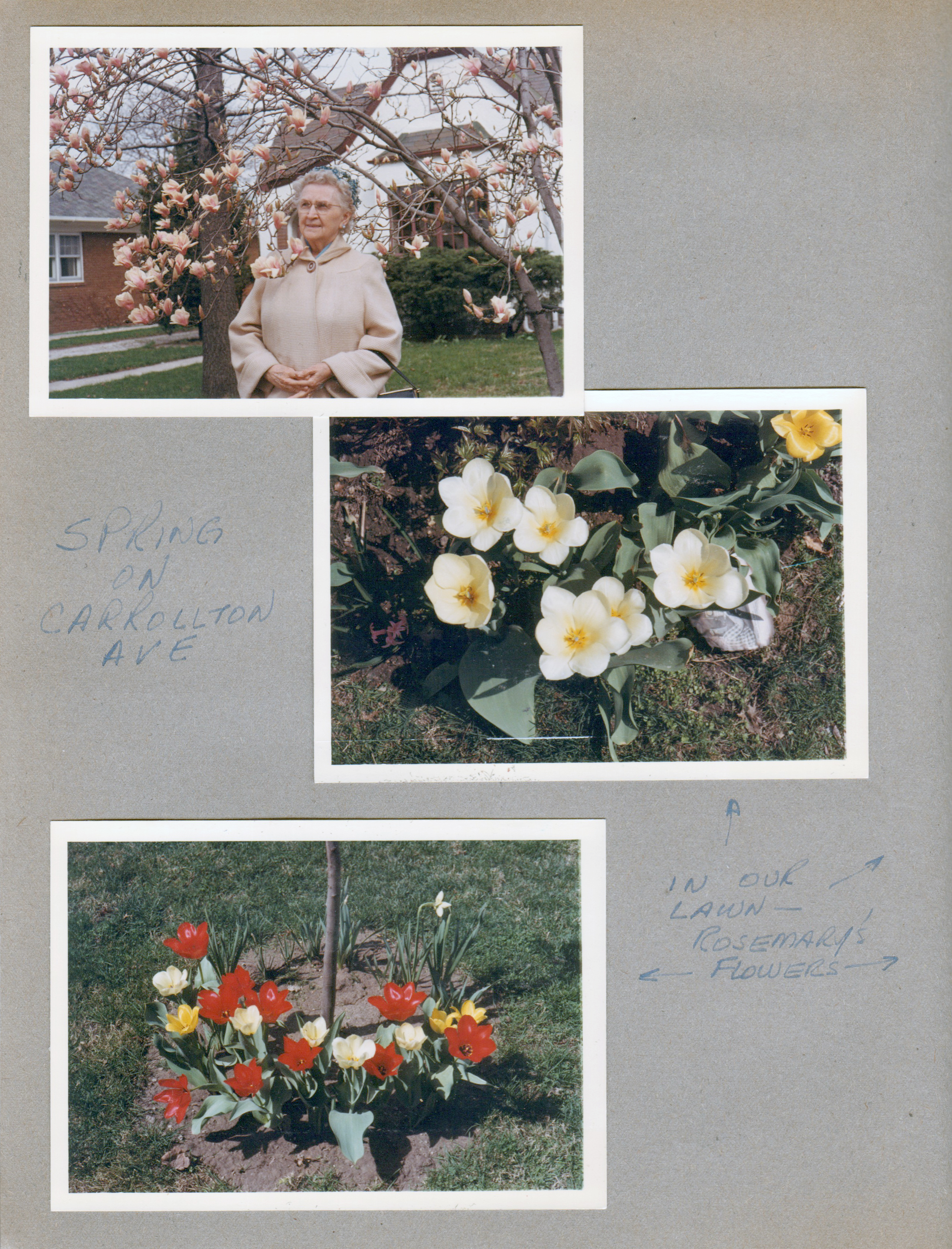 Vonnie at flowering tree - no idea where. 6122 spring flowers blooming.