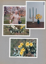 Vonnie at flowering tree - no idea where. 6122 spring flowers blooming