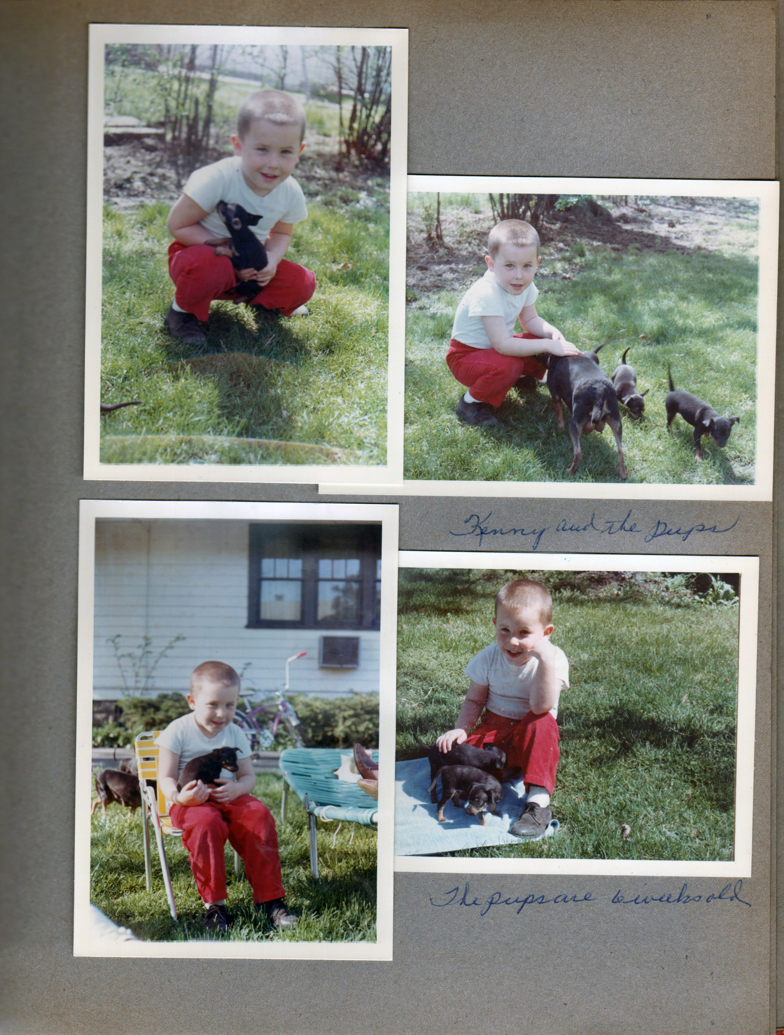 6122 yard - Kenny Letsinger with puppies