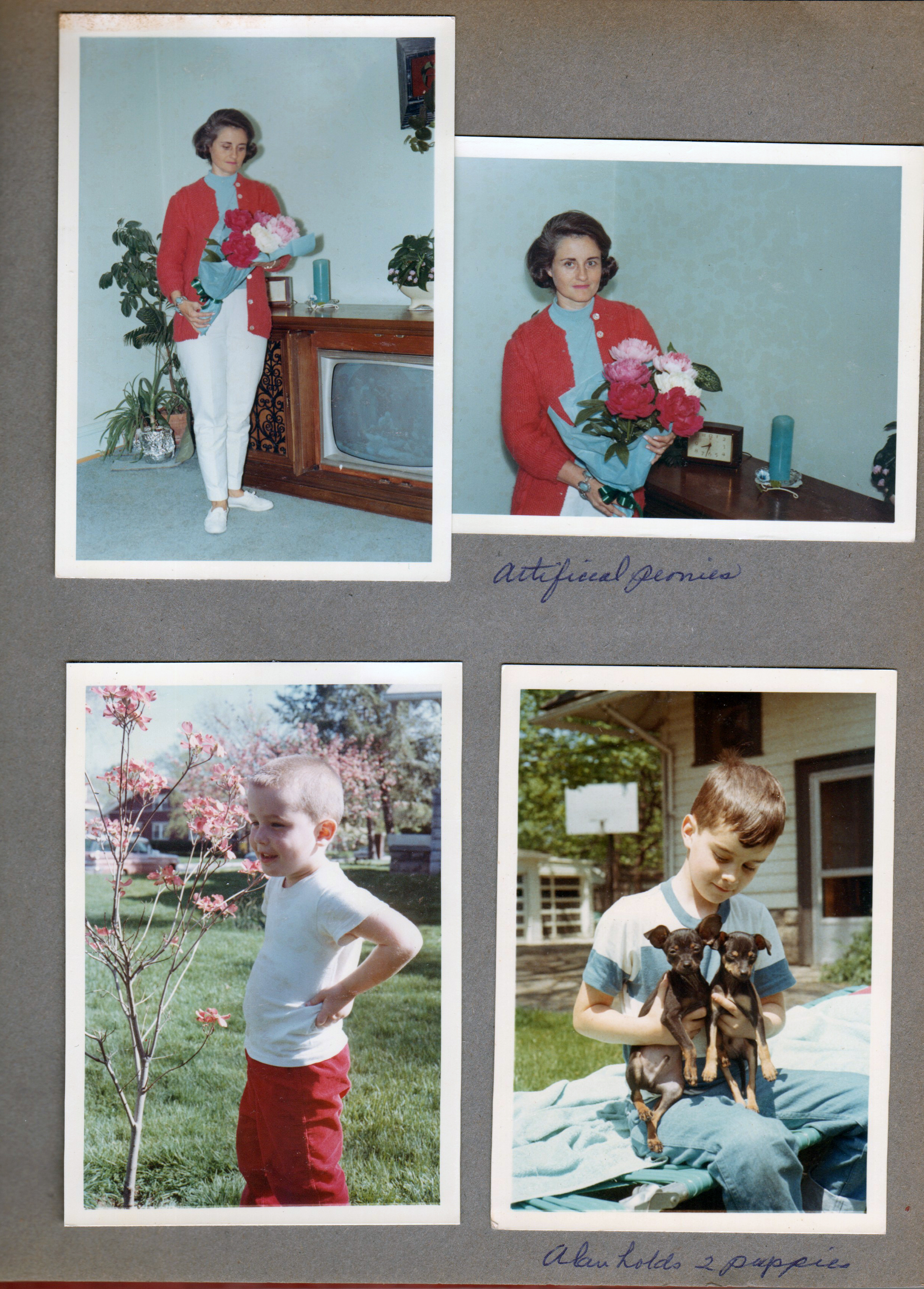 6122 living room - Rosemary with flowers. Yard - Kenny by dogwood tree. Alan with puppies.