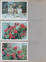 6122 dining room - Alan's 7th birthday party - Mark Hylton, Bruce Springer, Jeff Rowland?, Alan, Andy Wallace. Roses by side of 6122.