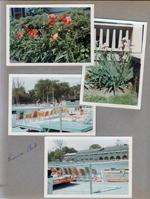 6122 yard - Poppies. Iris at neighbor's house. Riviera Club from decks.