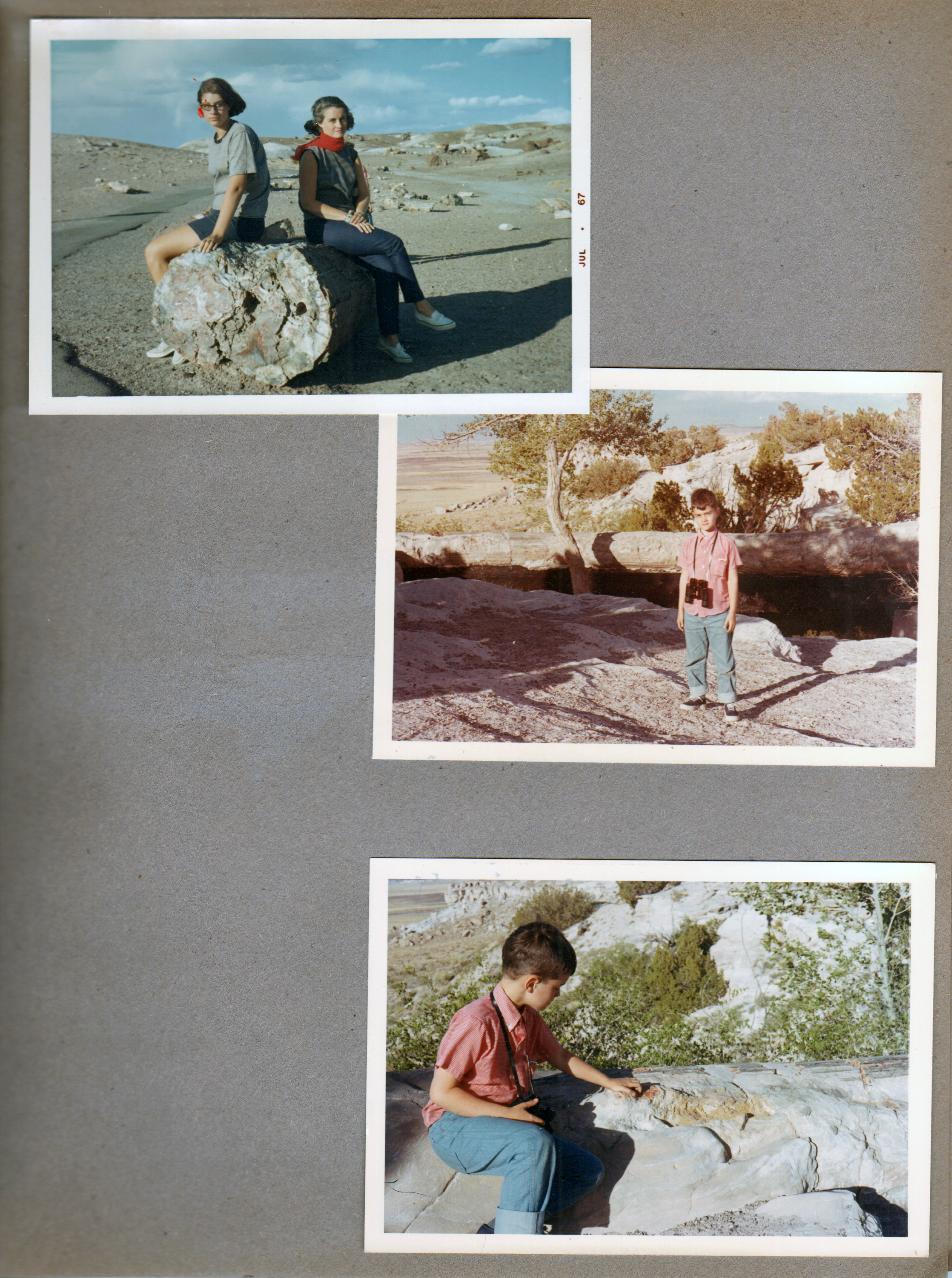 Petrified Forest - Rosemary, Susan, Alan