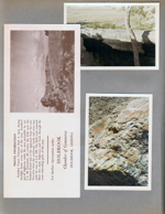Petrified Forest. Travel info pamphlet Holbrook, Arizona
