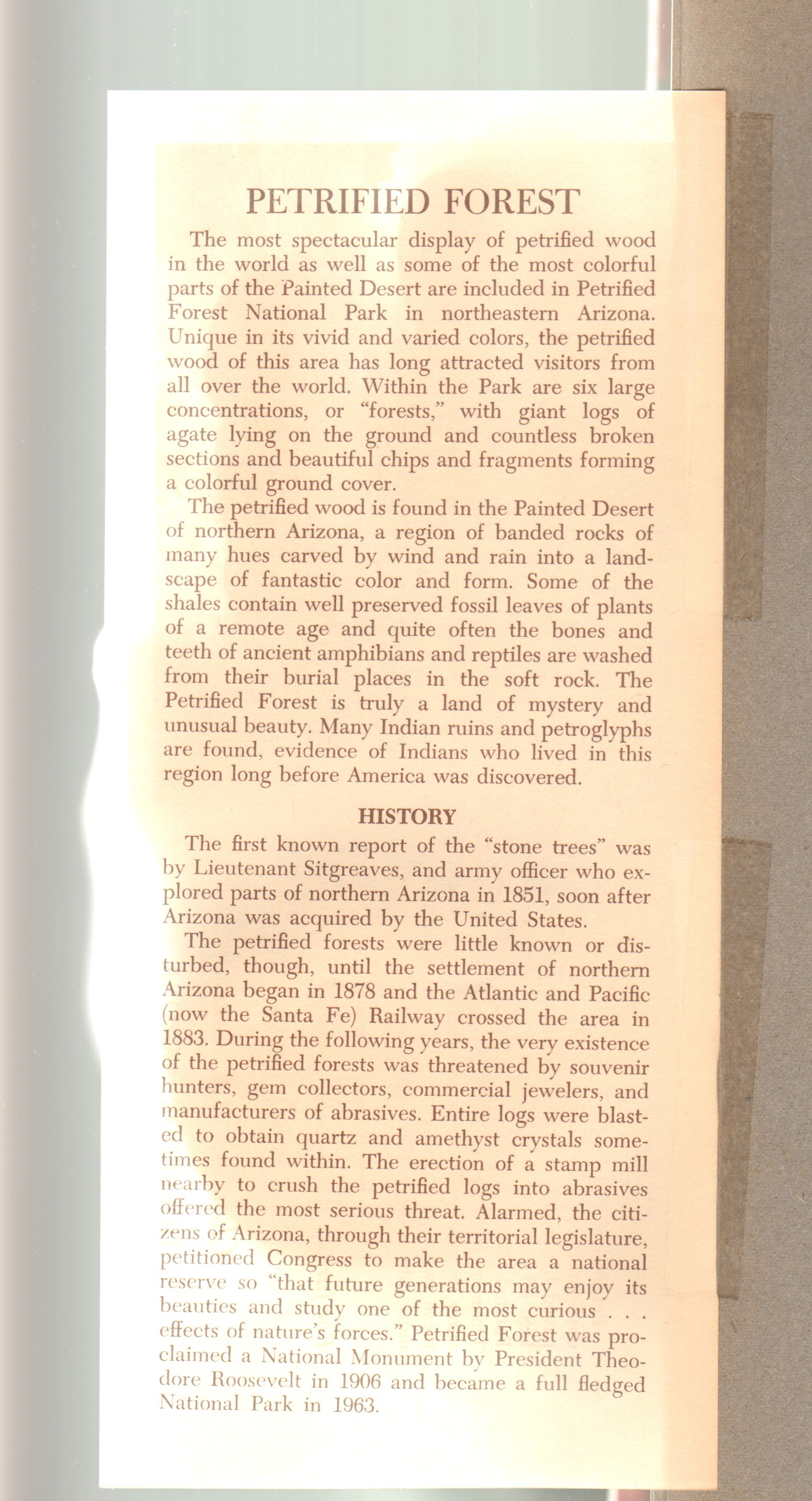 Petrified Forest. Travel info pamphlet Holbrook, Arizona