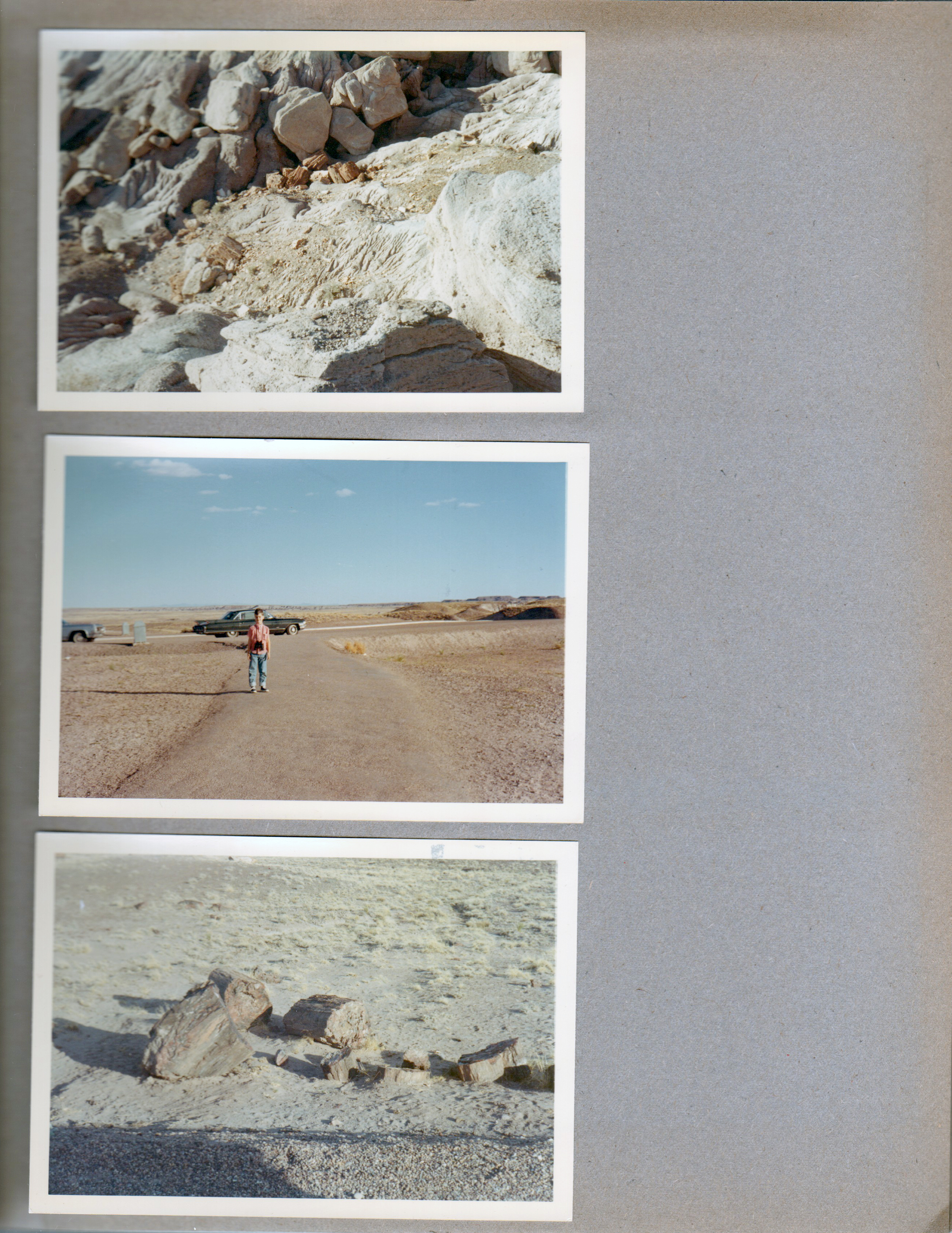 Petrified Forest - Alan and cars